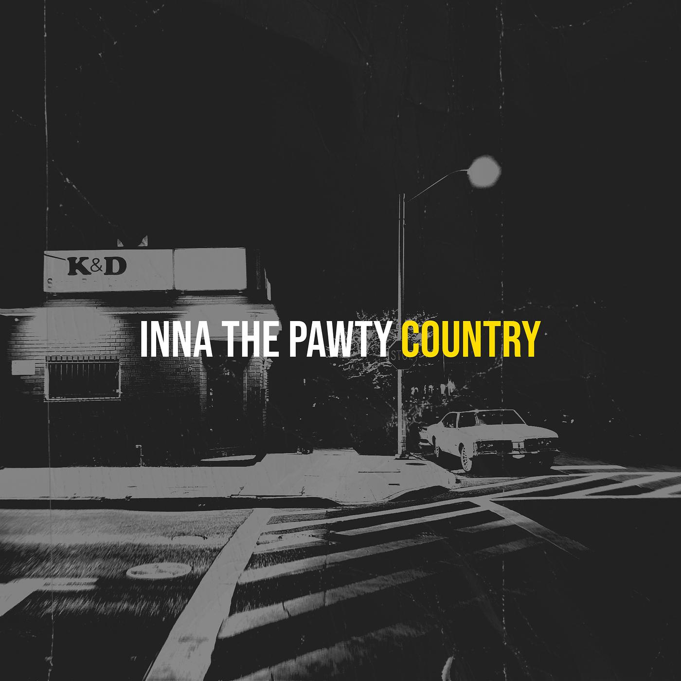 Постер альбома Inna the Pawty