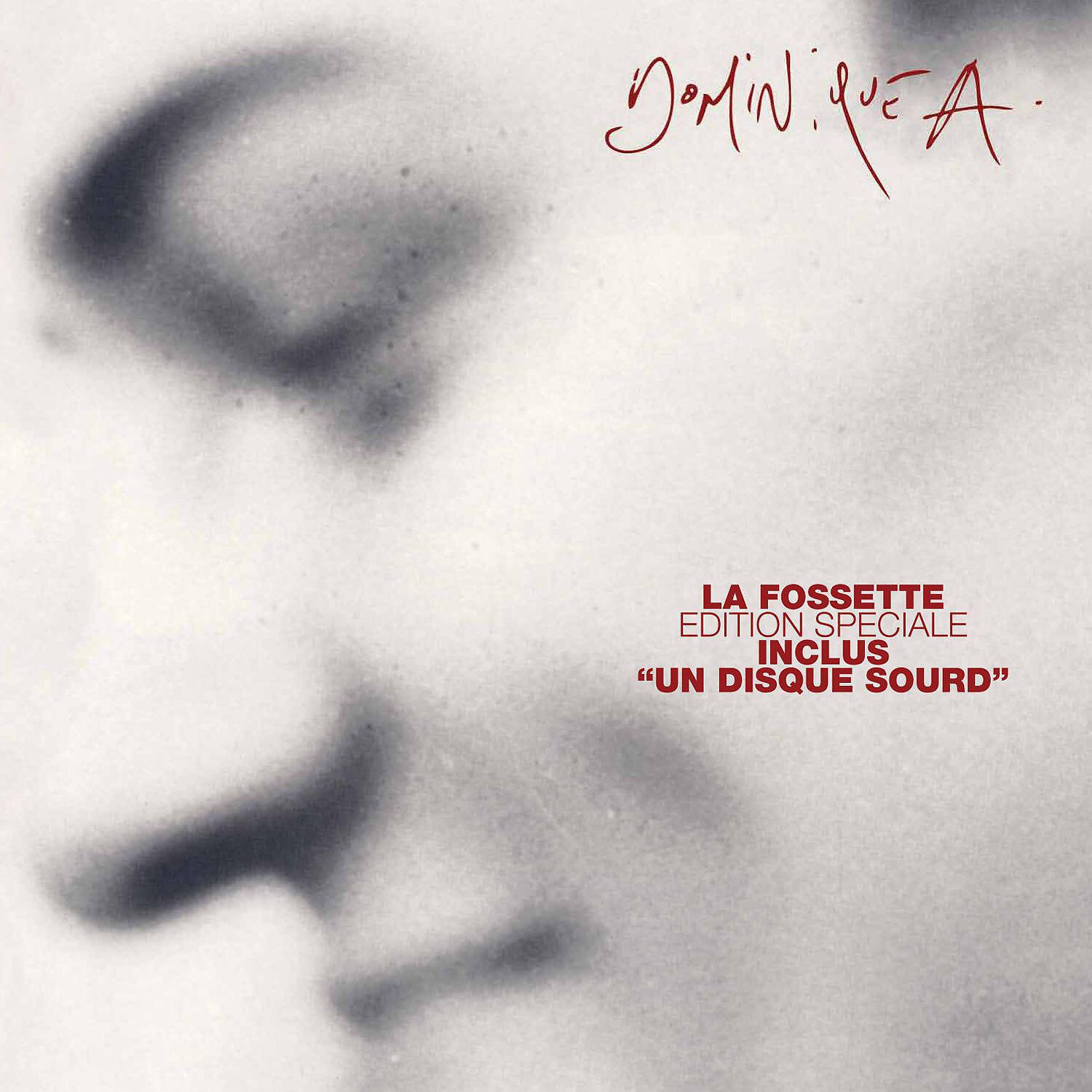 Dominique A - Syl (Un disque sourd)