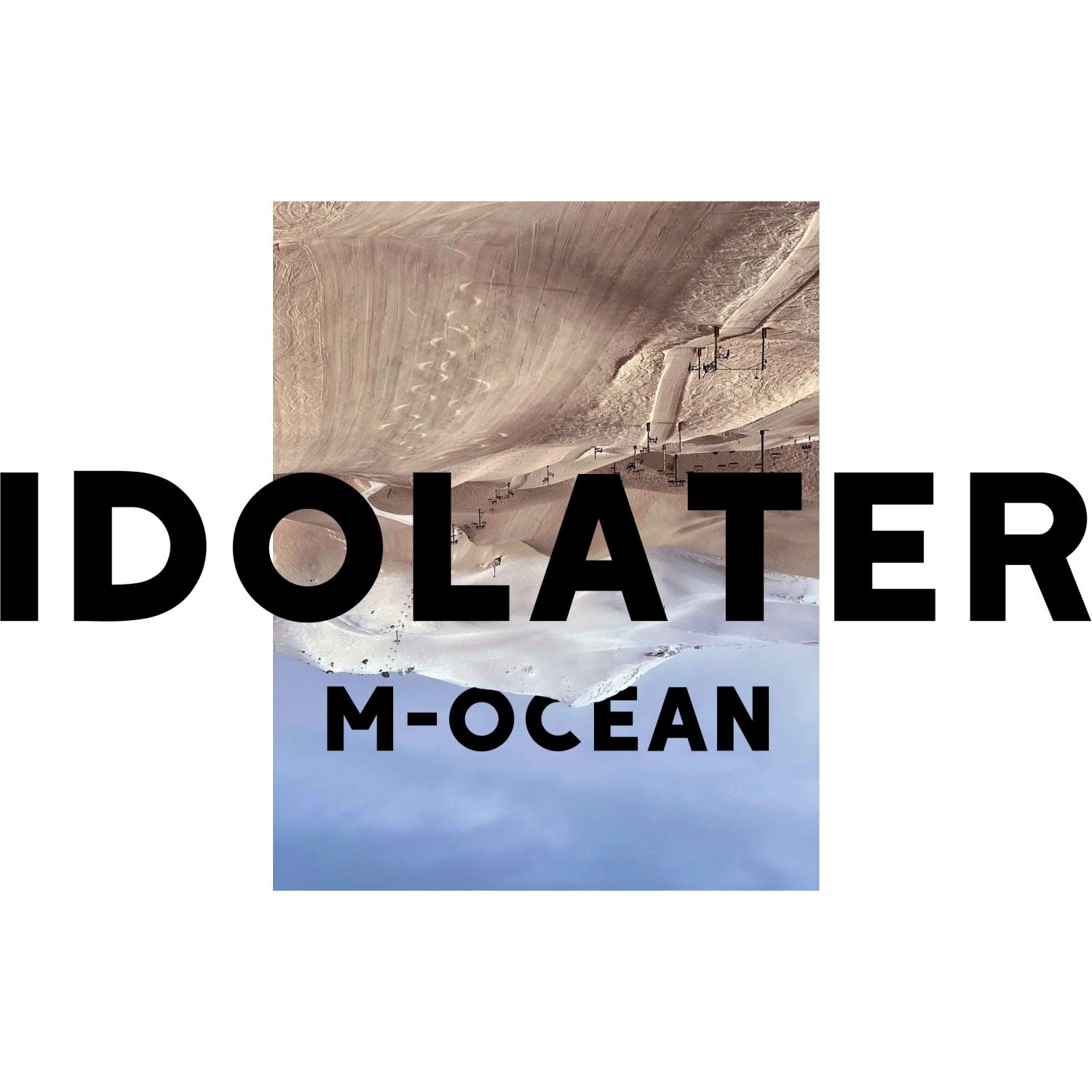 Постер альбома Idolater