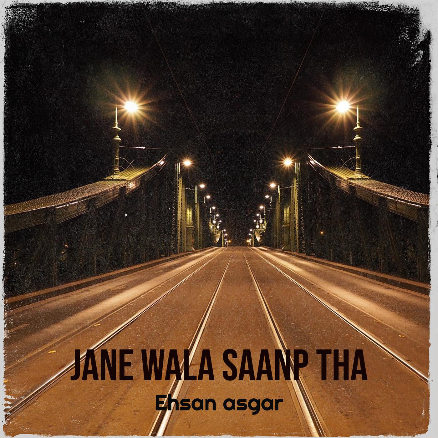 Постер альбома Jane Wala Saanp Tha