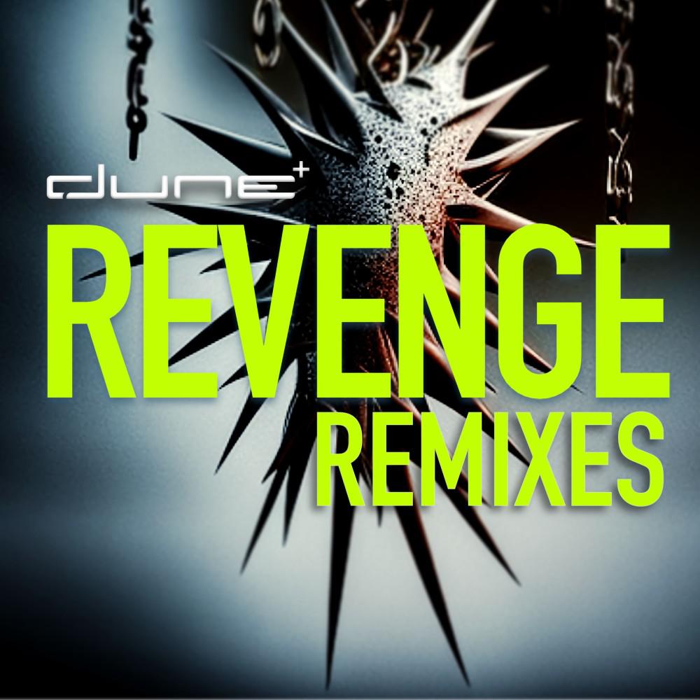 Постер альбома Revenge (Remixes)