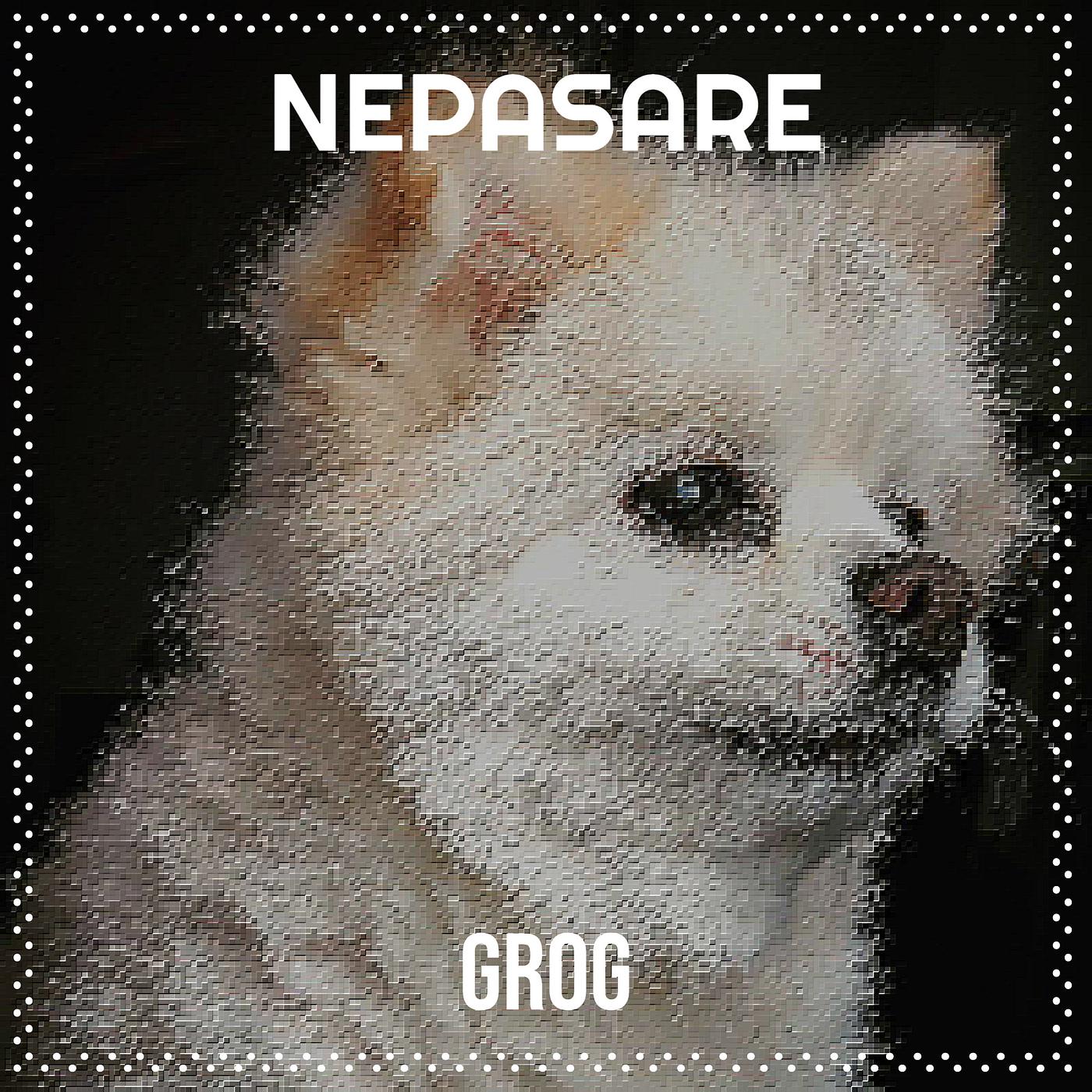 Постер альбома Nepasare