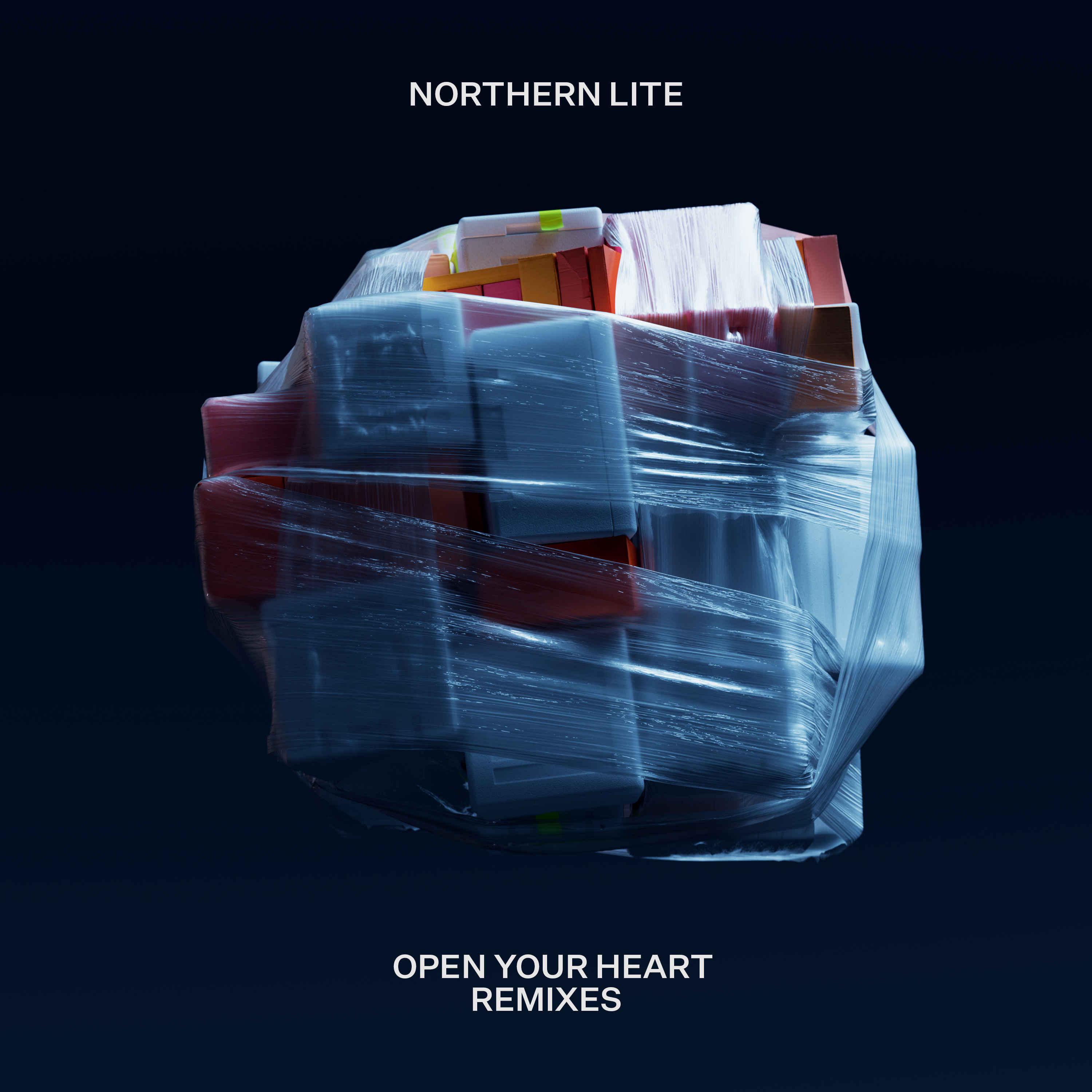 Постер альбома Open Your Heart Remixes
