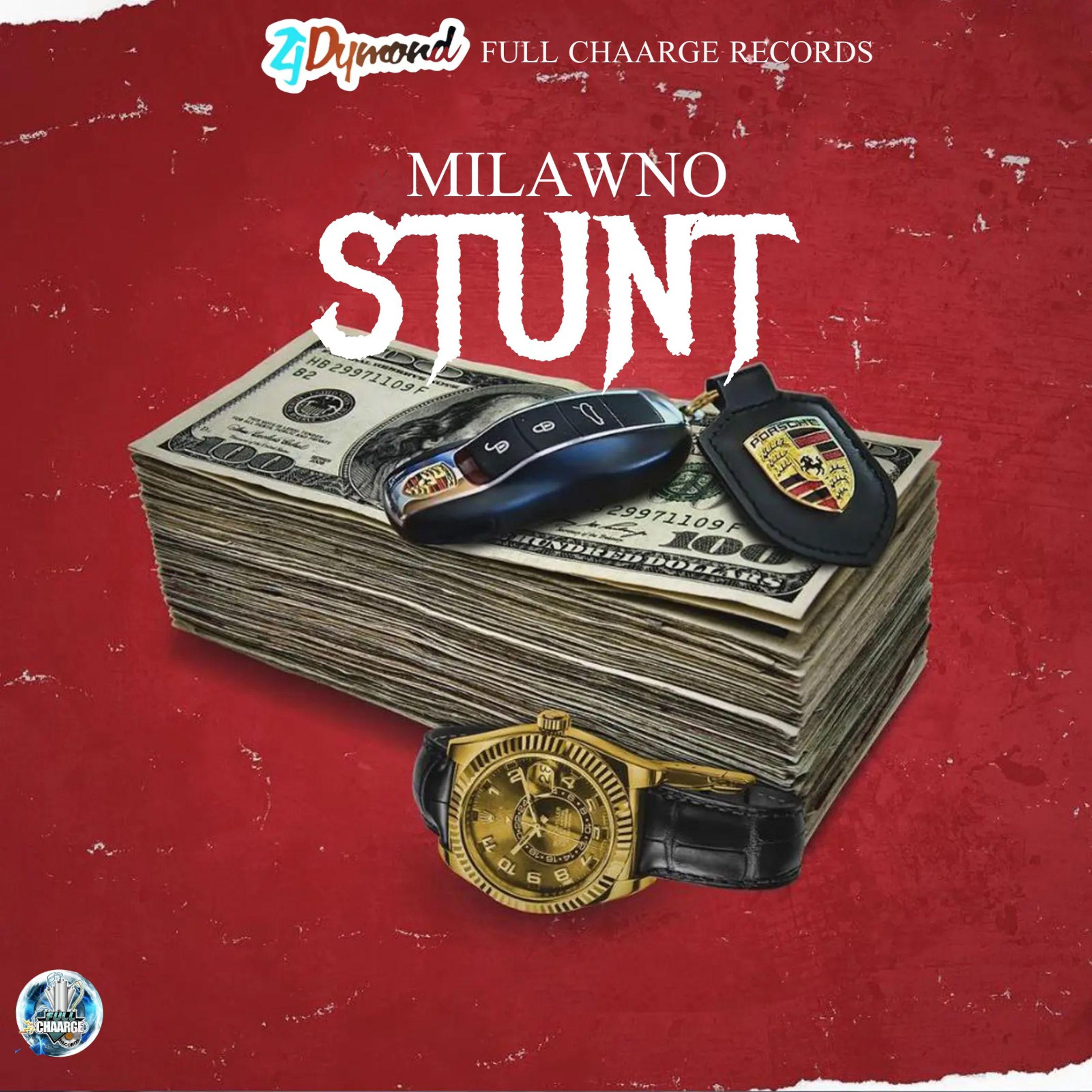 Постер альбома Stunt