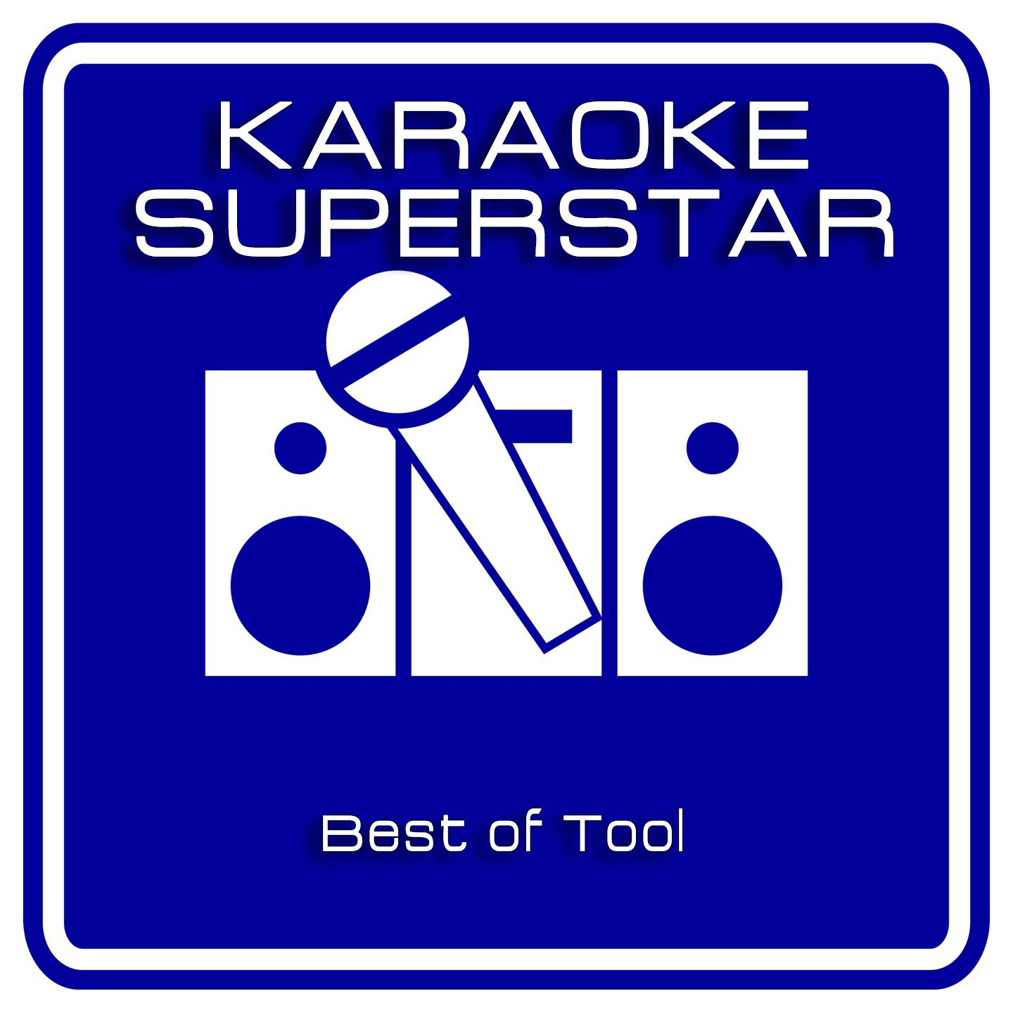 Постер альбома Best Of Tool (Karaoke Version)