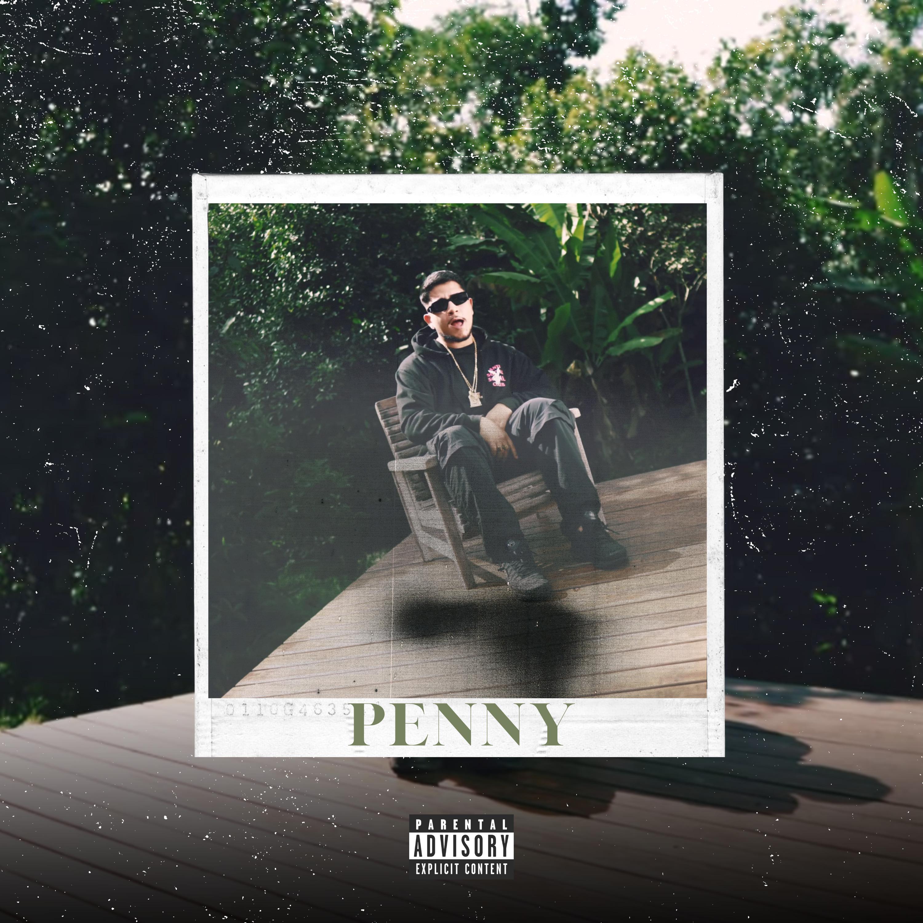 Постер альбома Penny