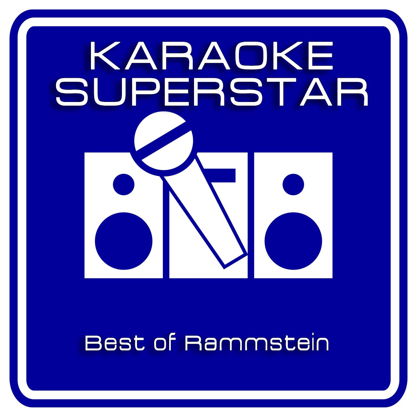Постер альбома Best of rammstein (karaoke Version)