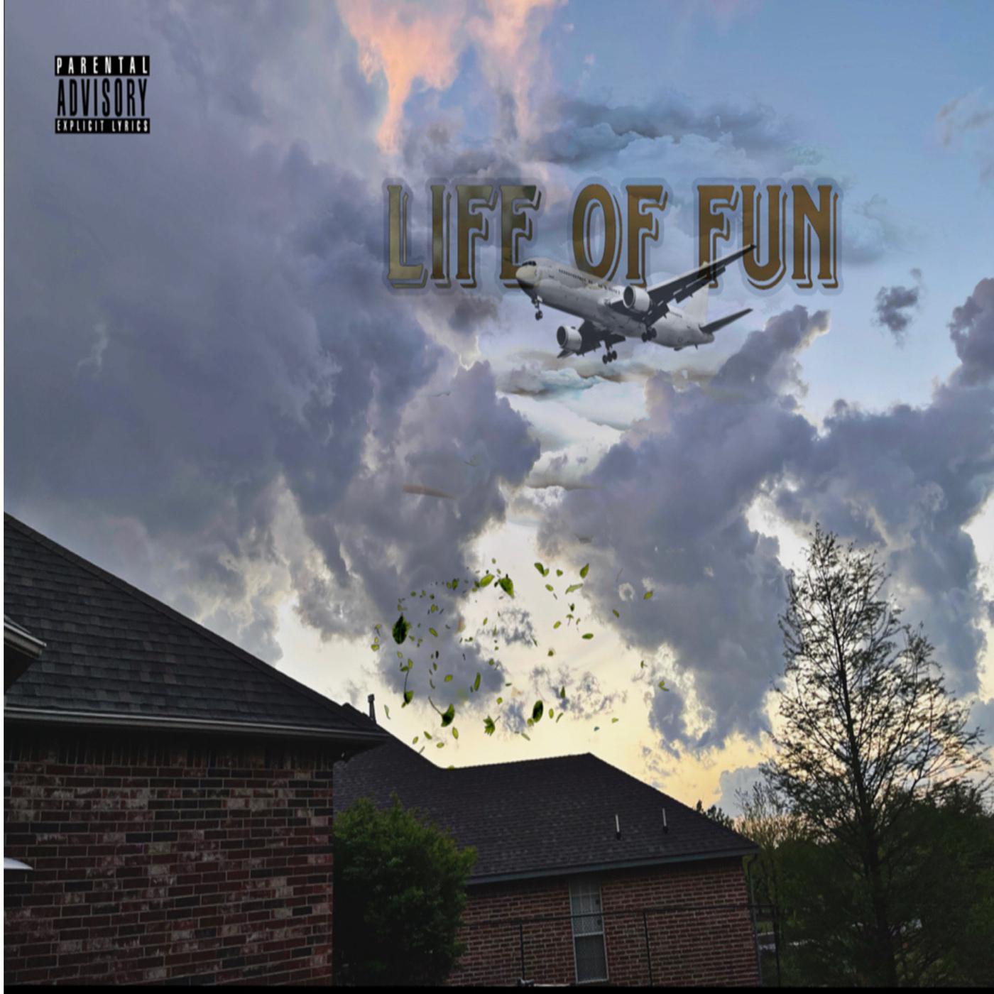 Постер альбома Life of Fun