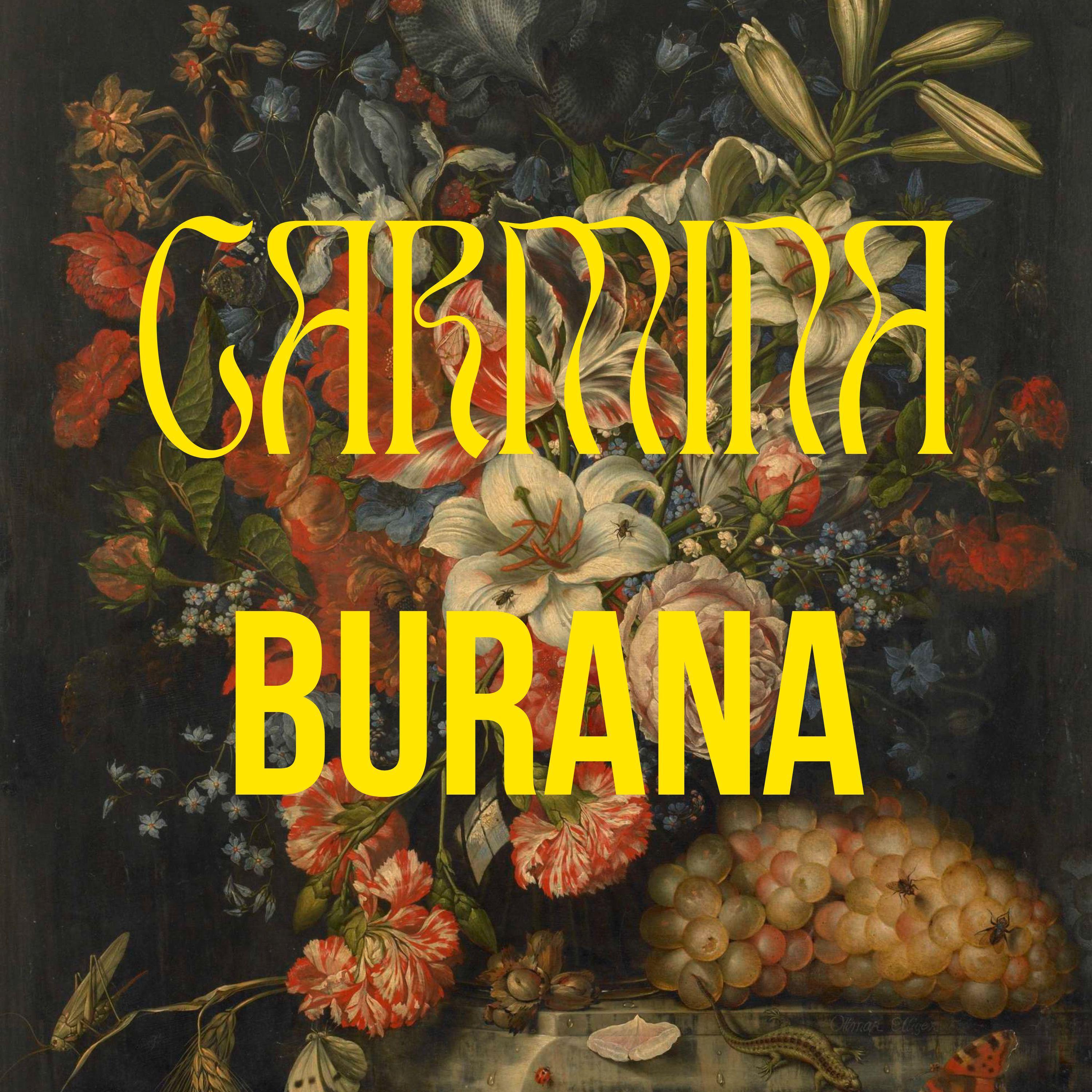Постер альбома Carmina Burana, Vol. 3