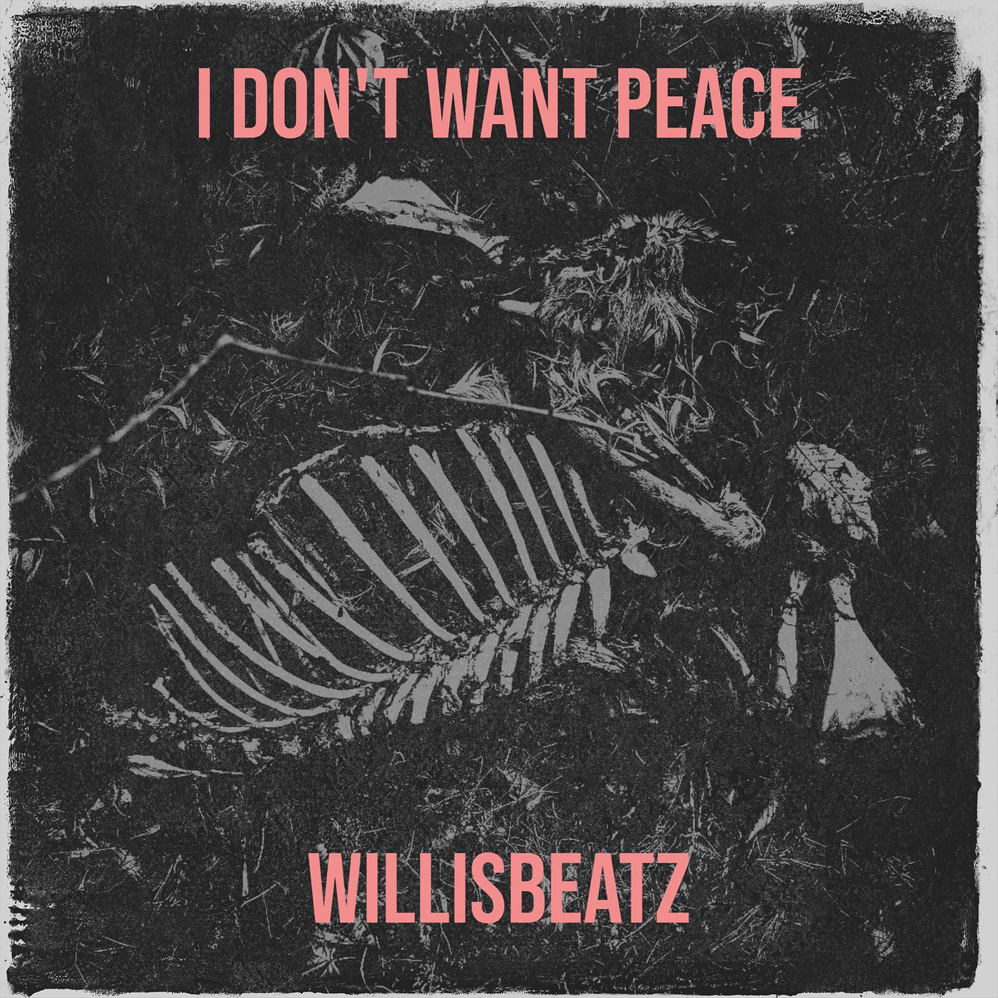 Постер альбома I Don't Want Peace