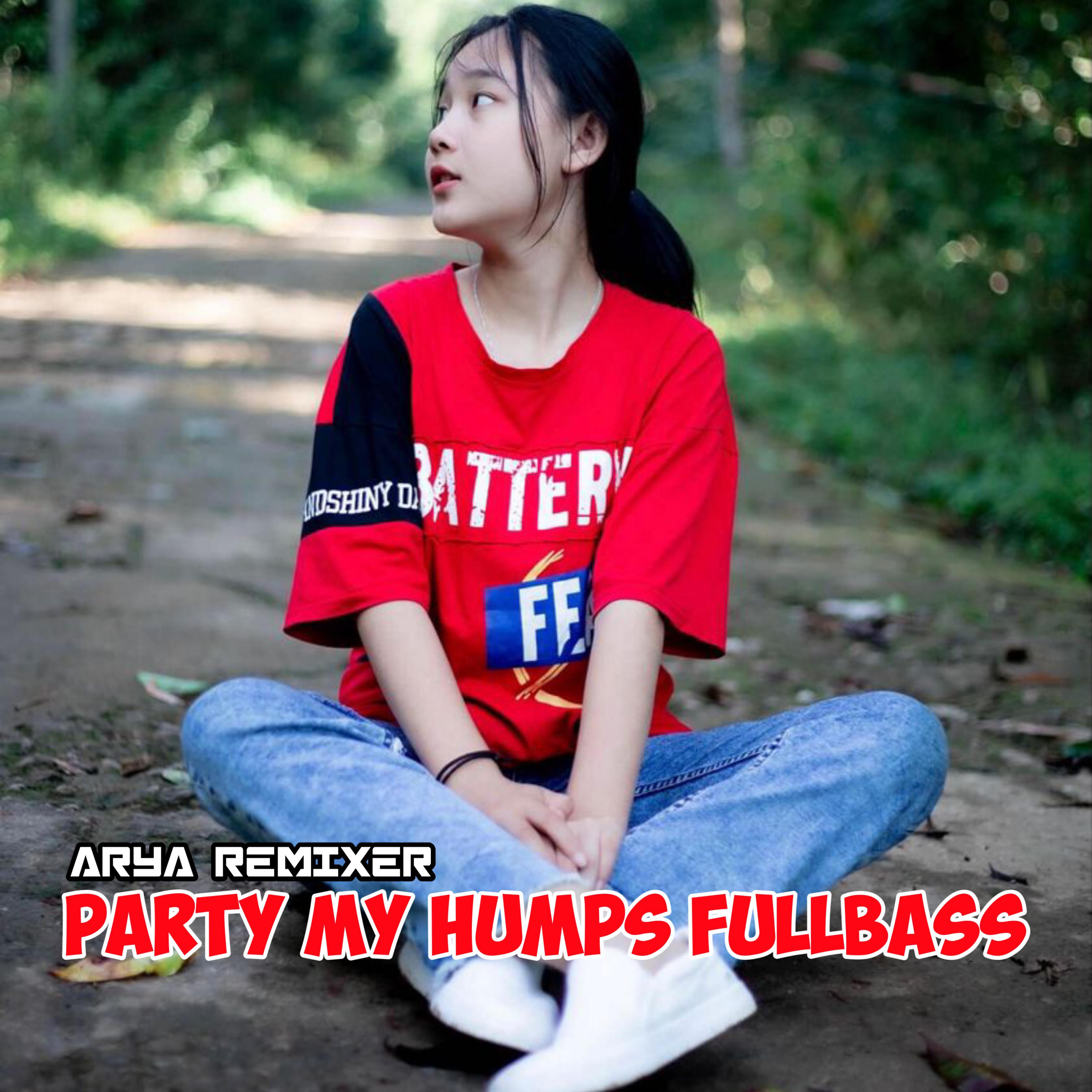 Постер альбома PARTY MY HUMPS FULLBASS