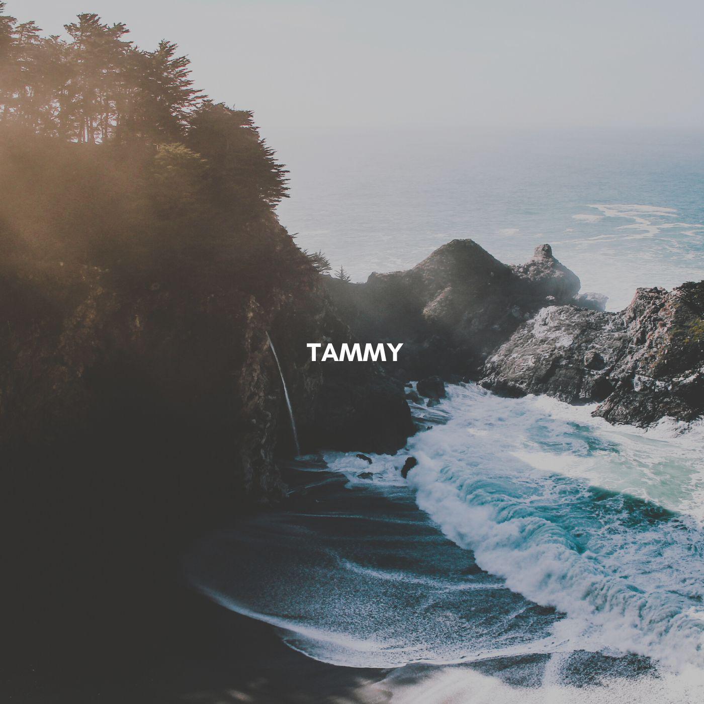 Постер альбома Tammy