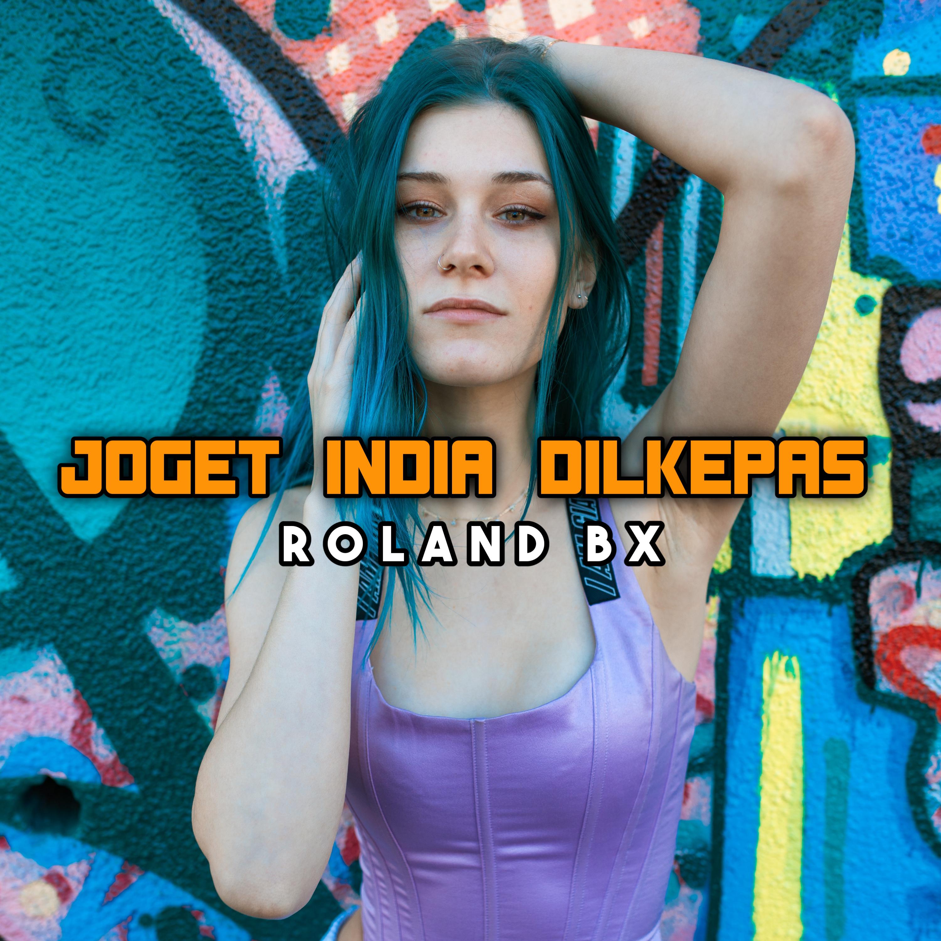 Постер альбома Joget India Dilkepas