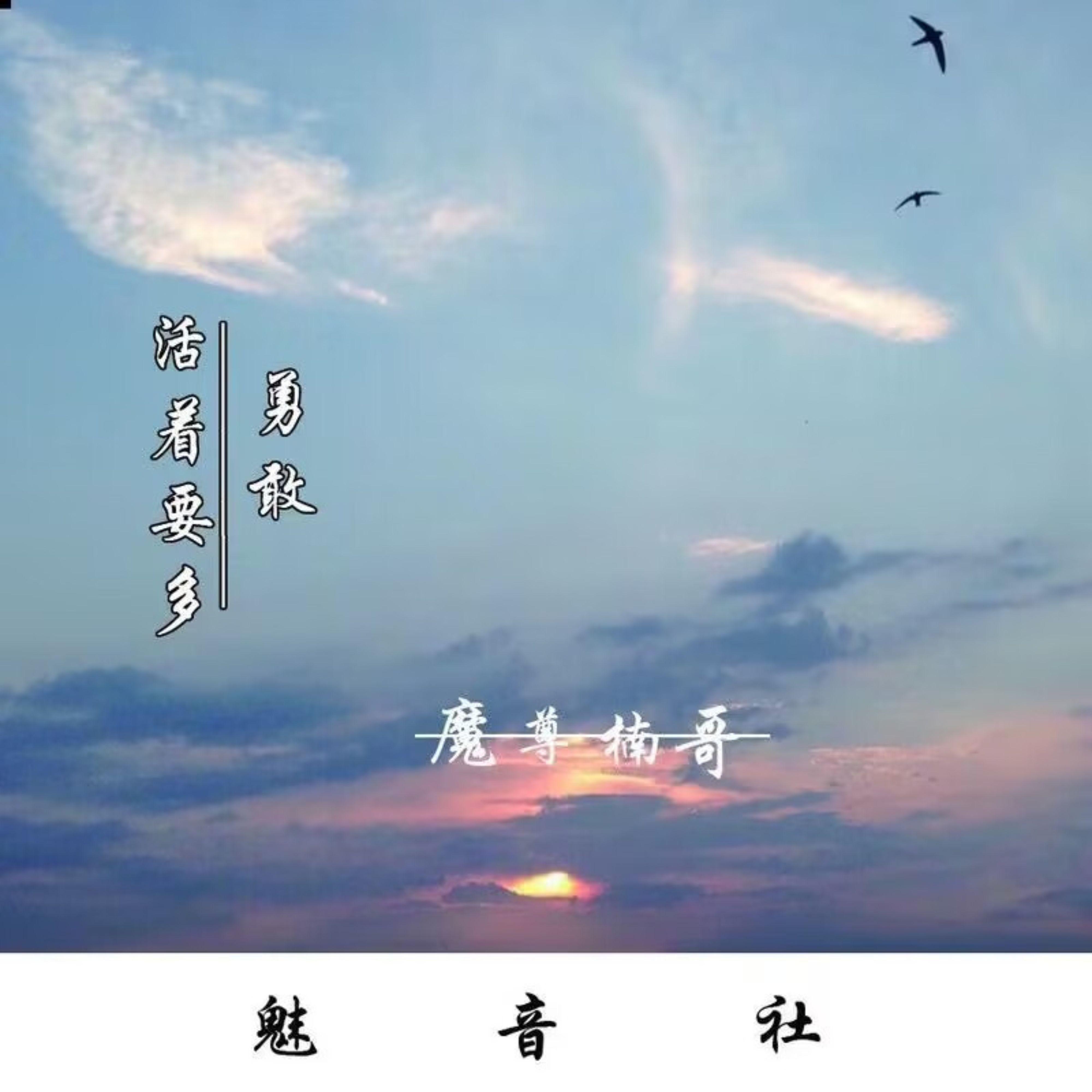 Постер альбома 活着要多勇敢