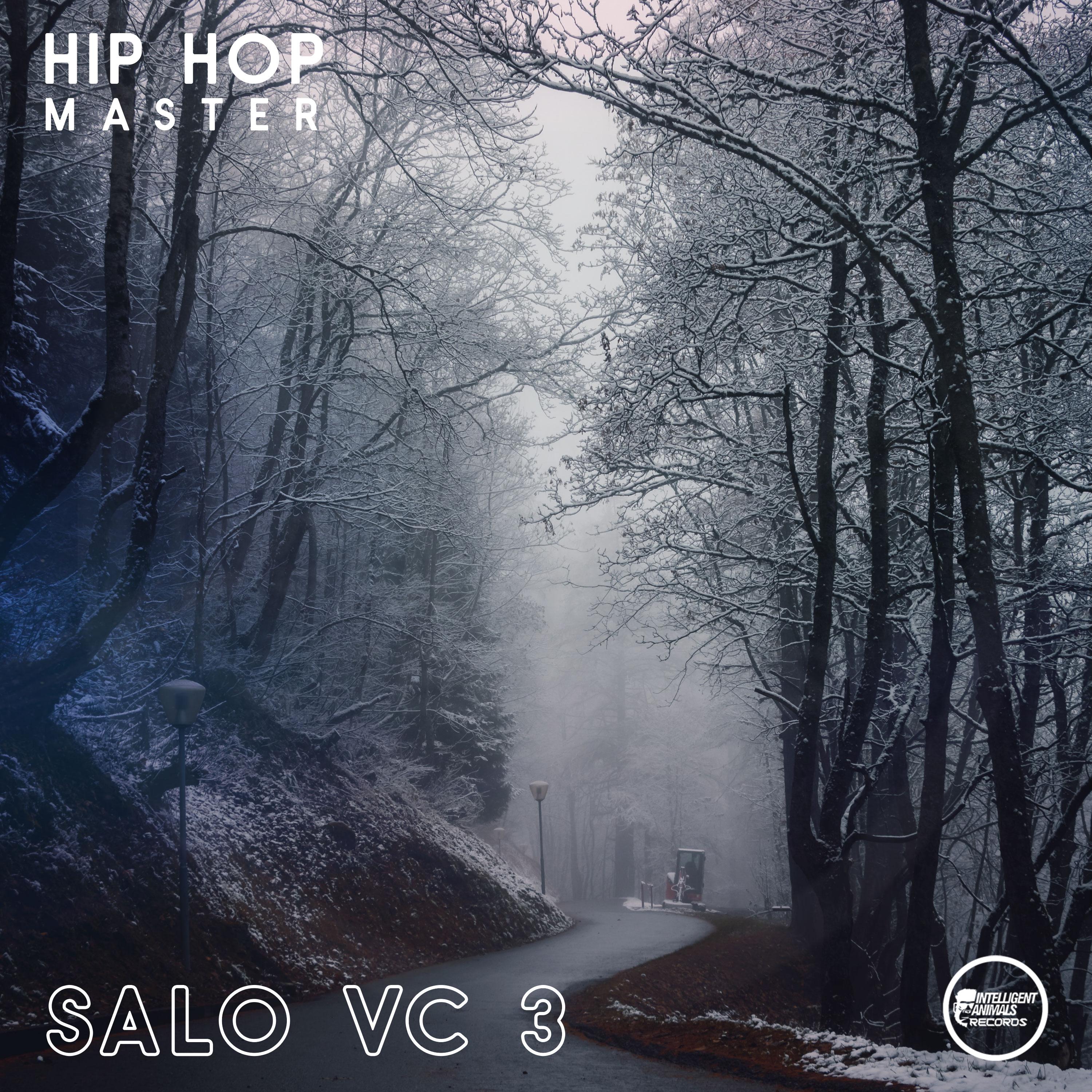 Постер альбома Salo VC 3