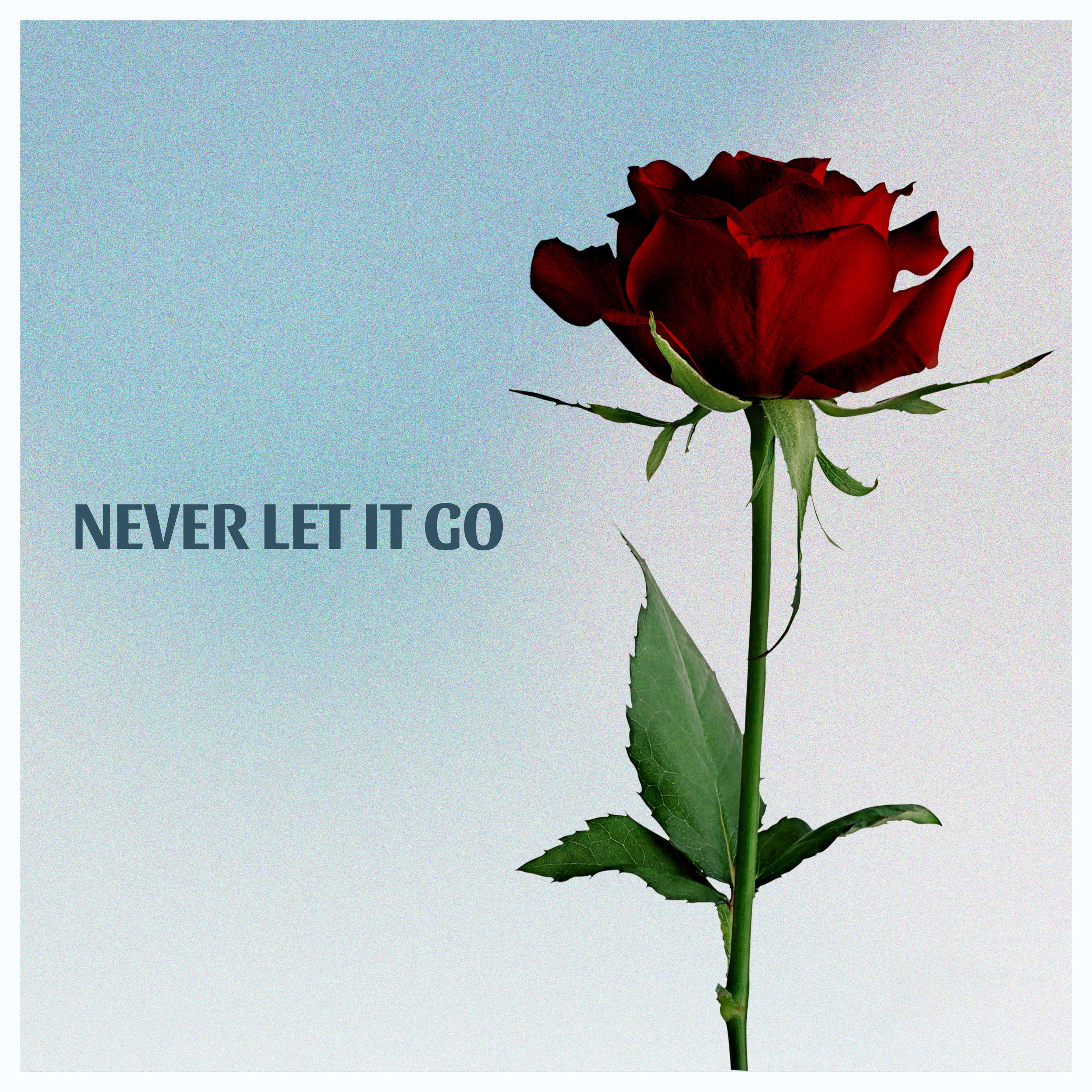 Постер альбома Never Let It Go