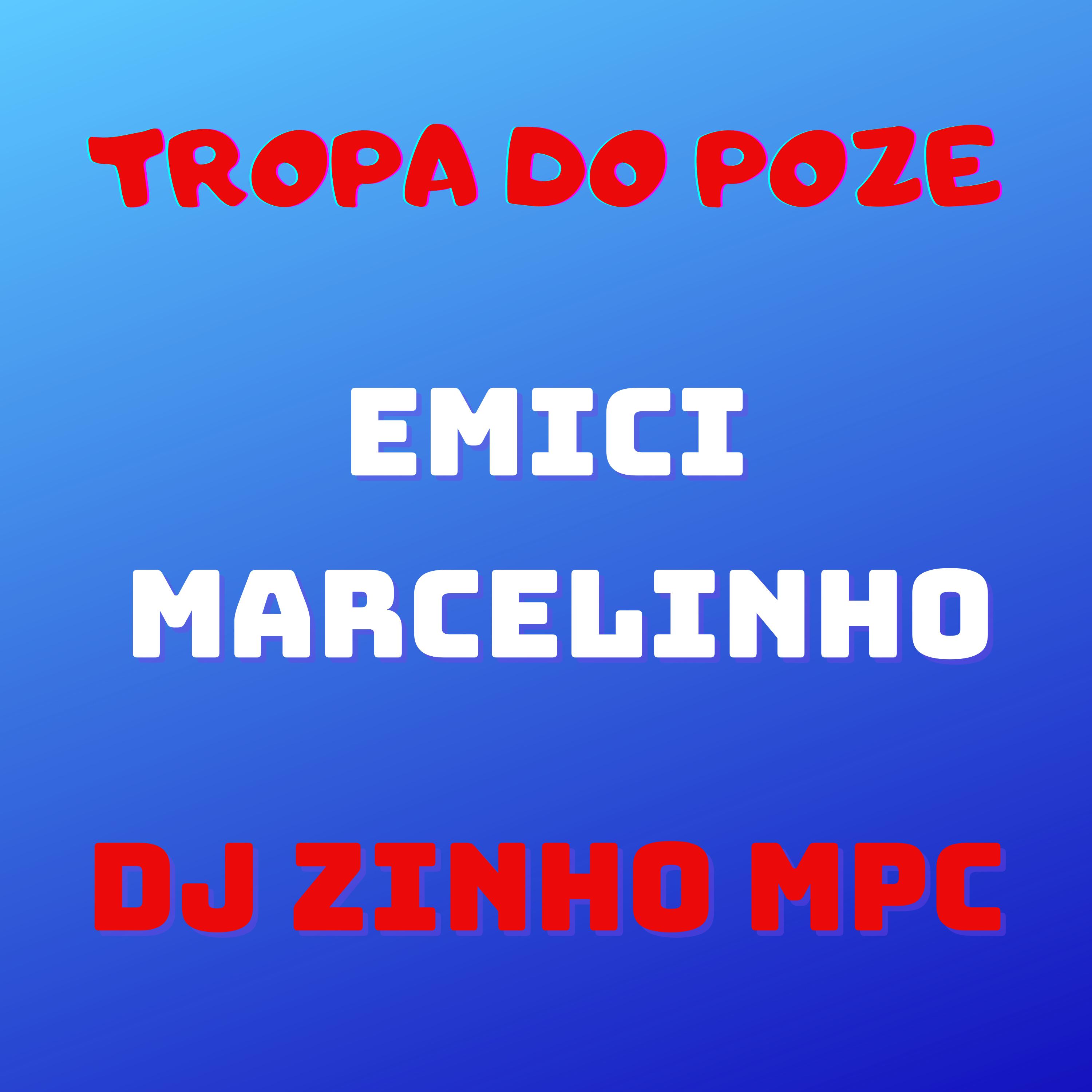 Постер альбома Tropa do Poze