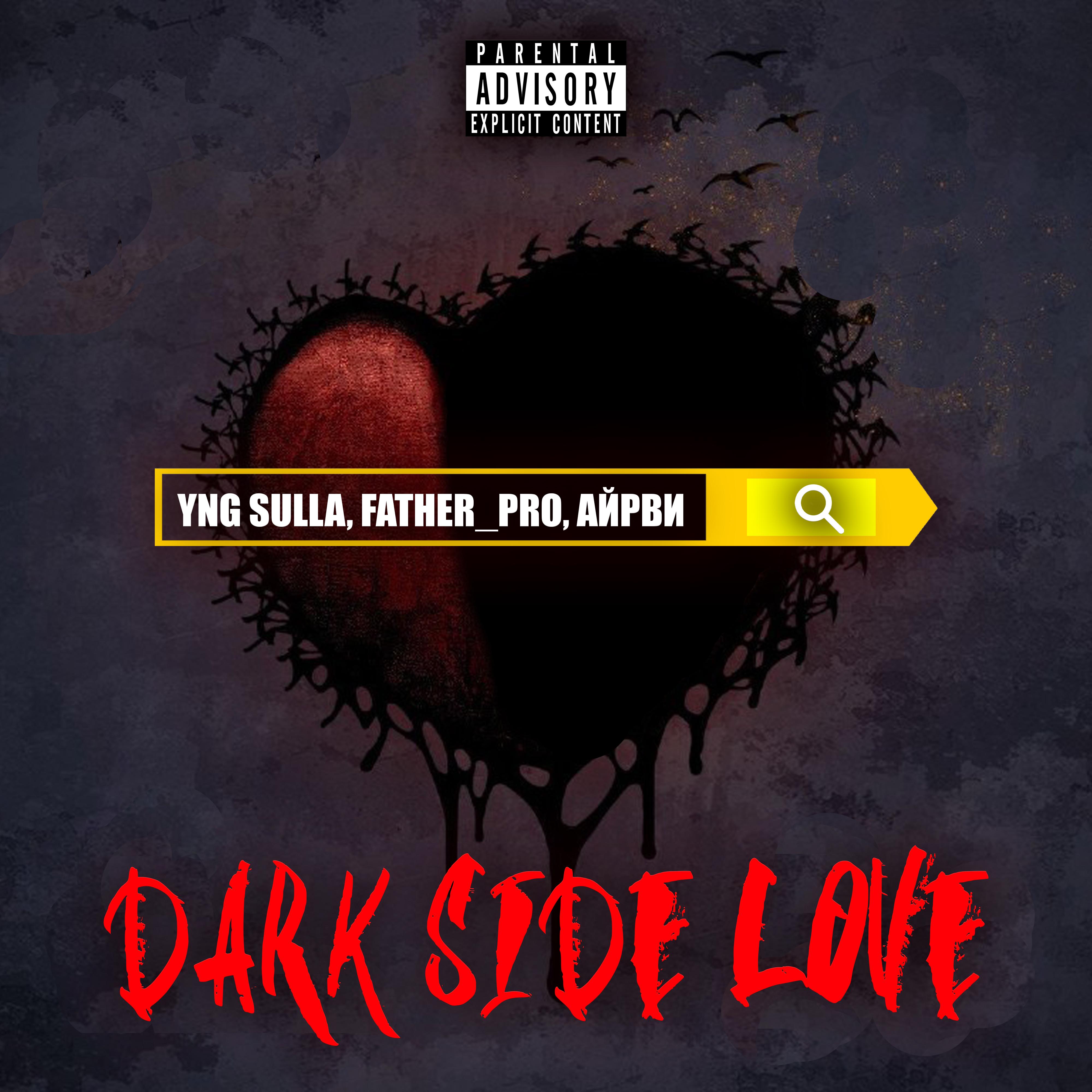 Постер альбома Dark Side Love