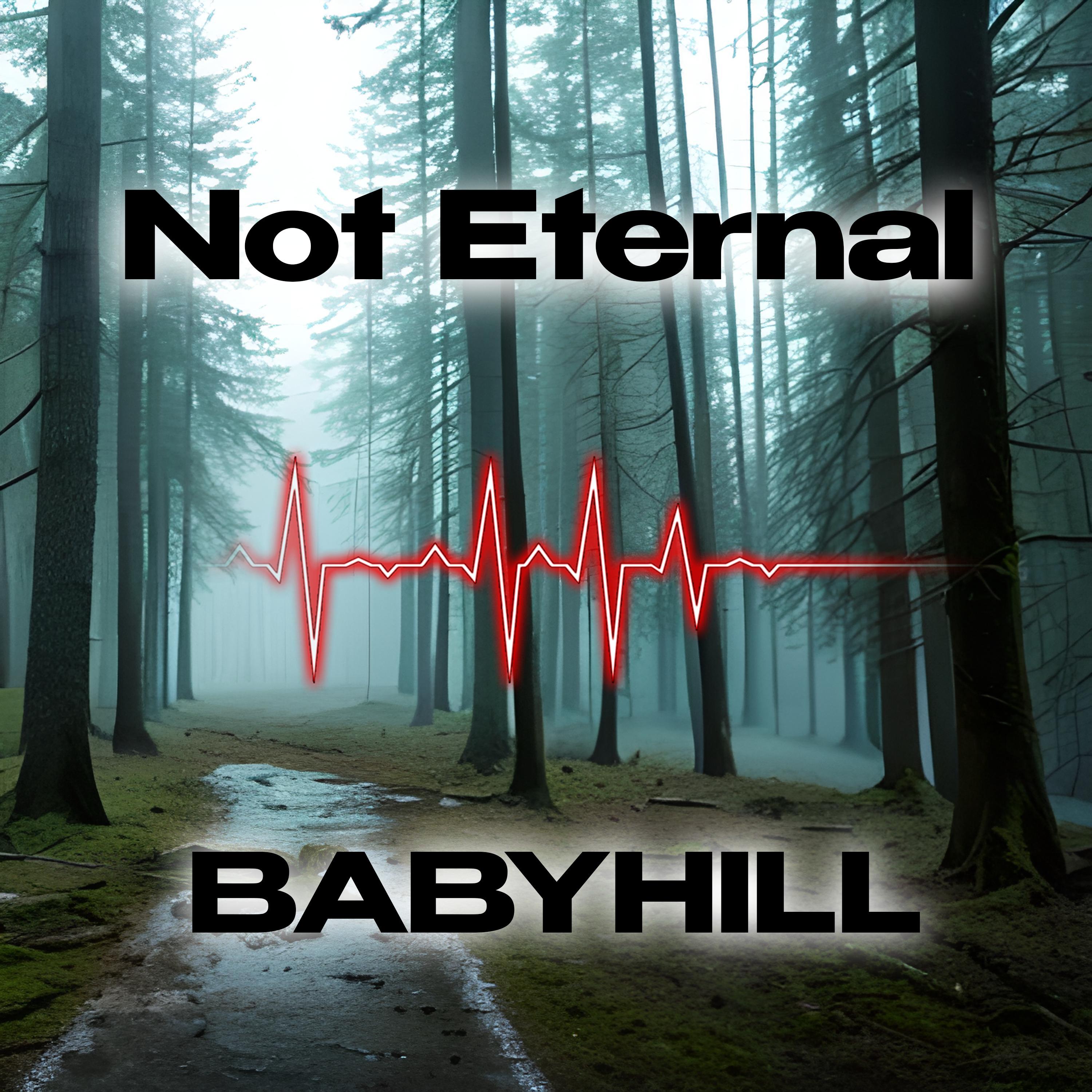 Постер альбома Not Eternal