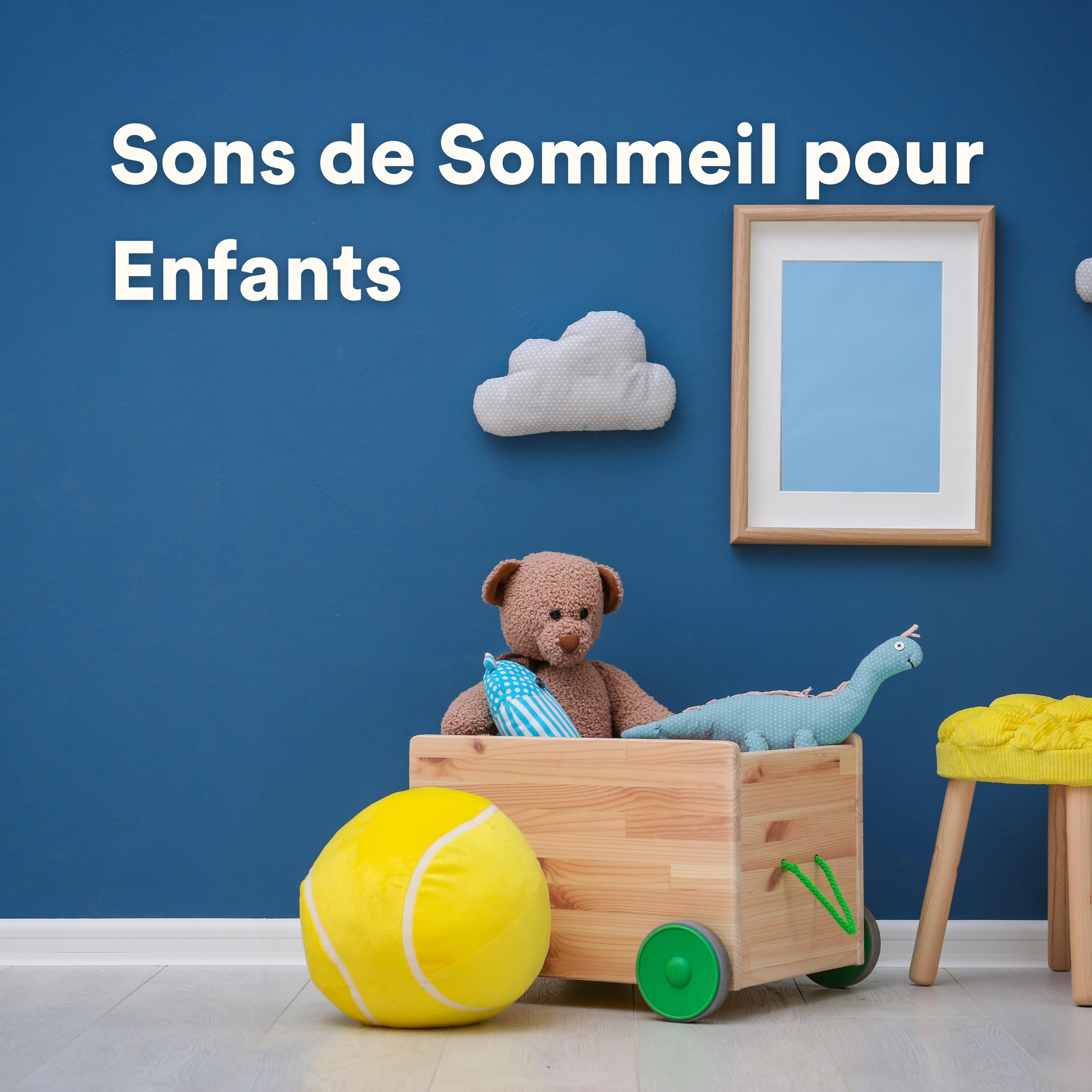 Постер альбома Sons de Sommeil pour Enfants