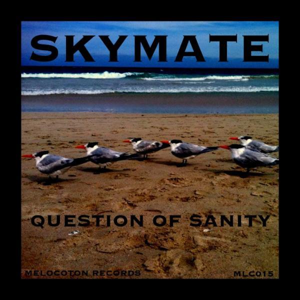 Skymate - Question Of Sanity (Original Mix)