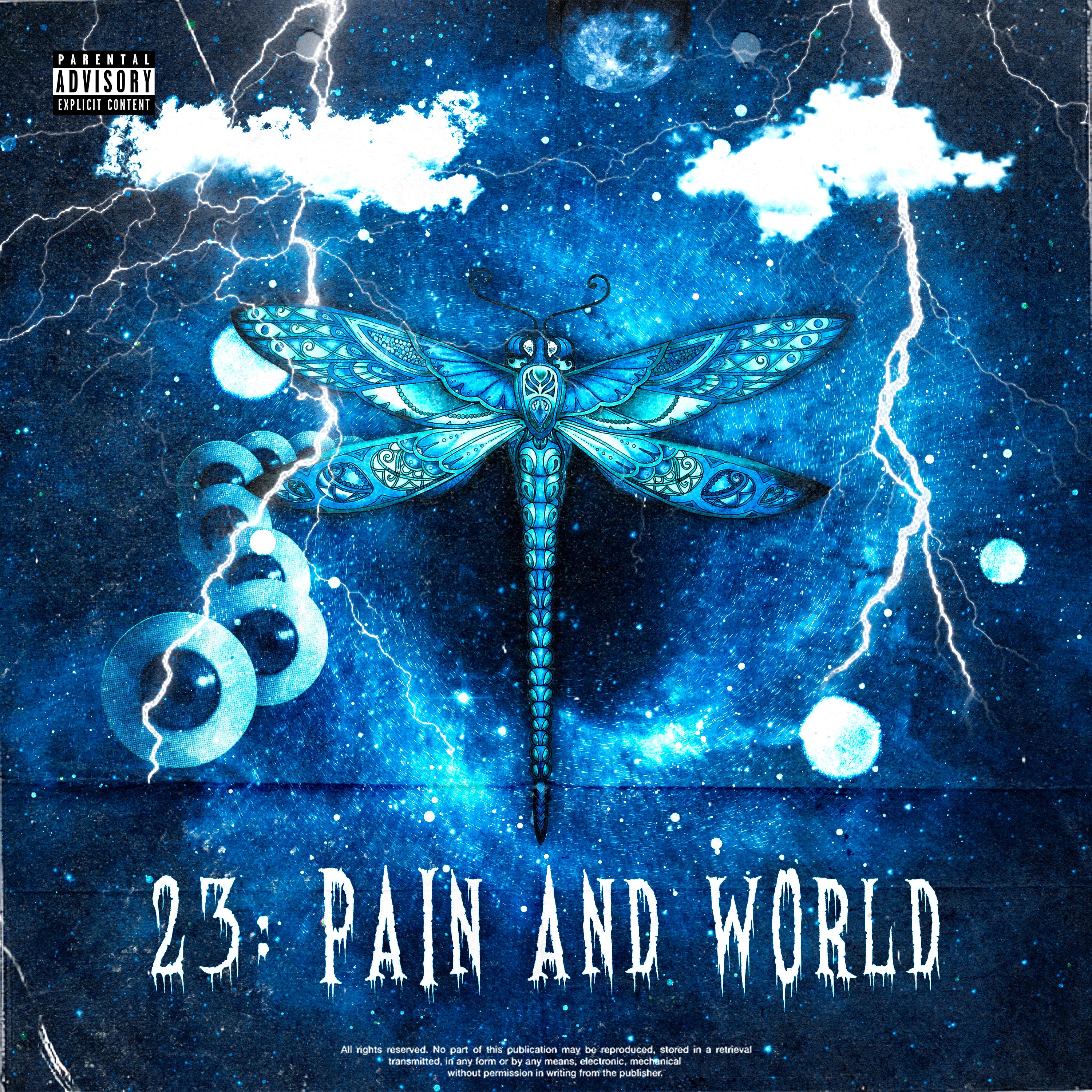 Постер альбома 23: Pain and World