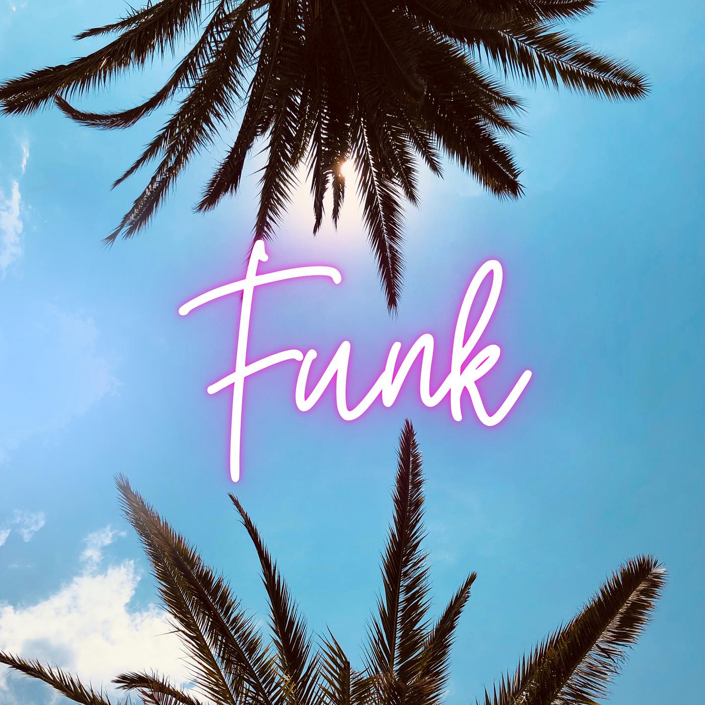 Постер альбома Funk