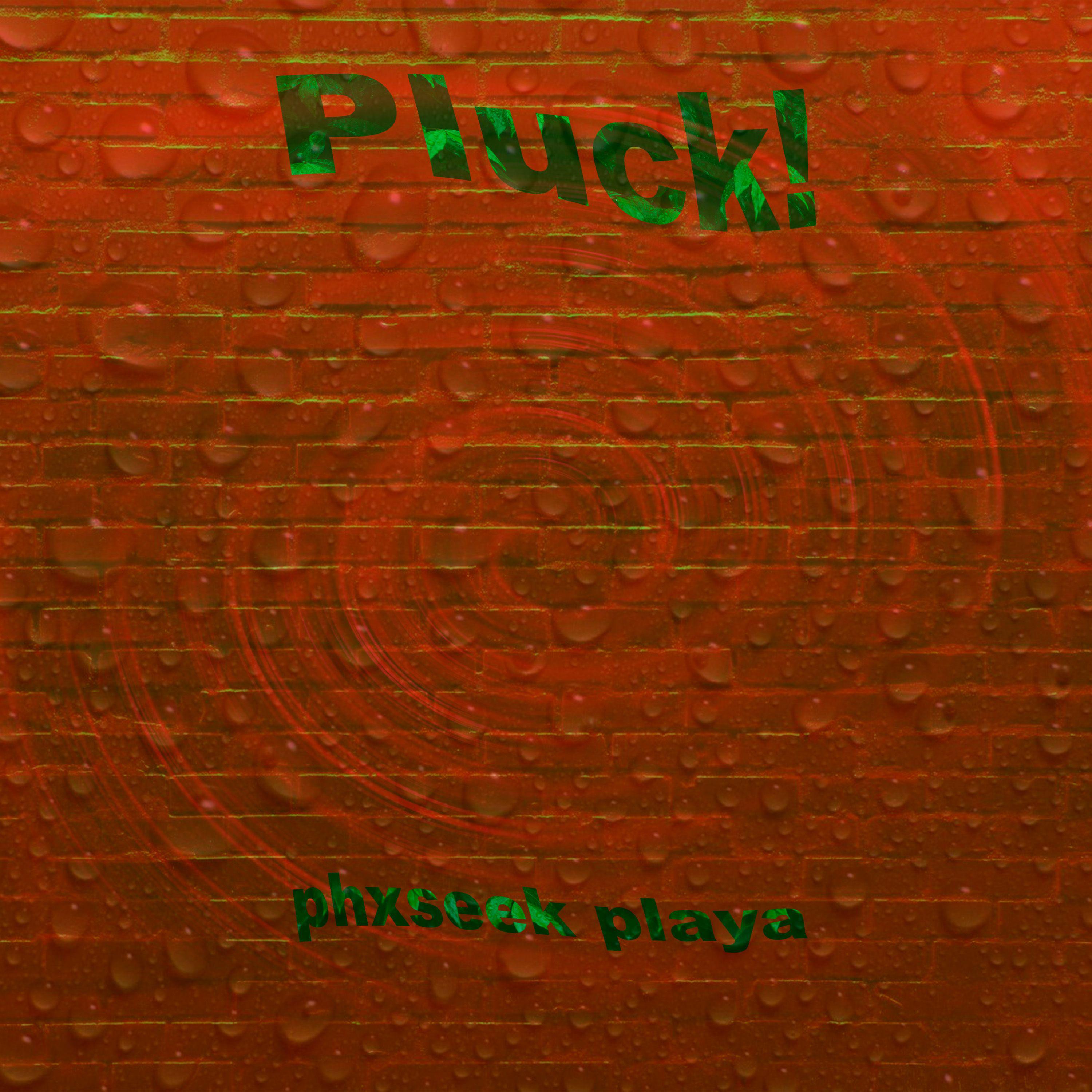 Постер альбома Pluck!