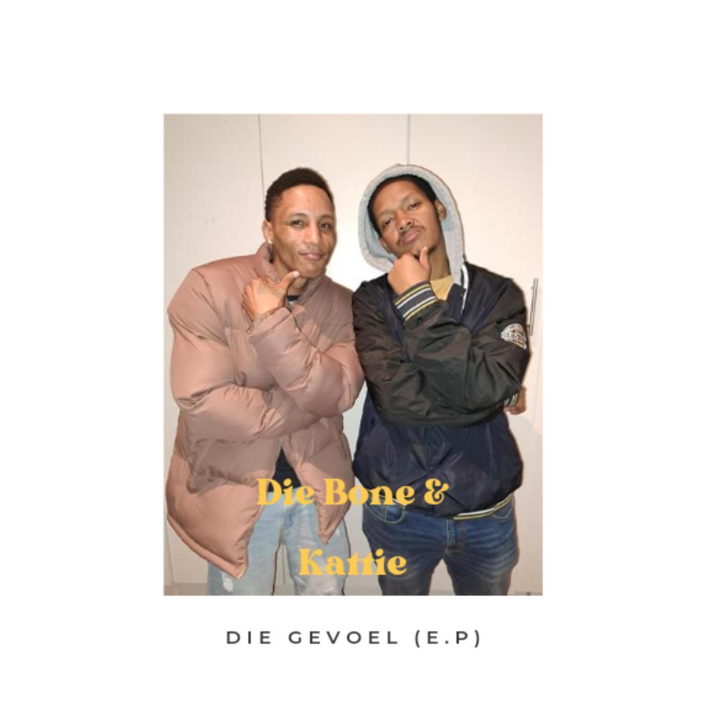 Постер альбома Die Gevoel (feat. Kattie)