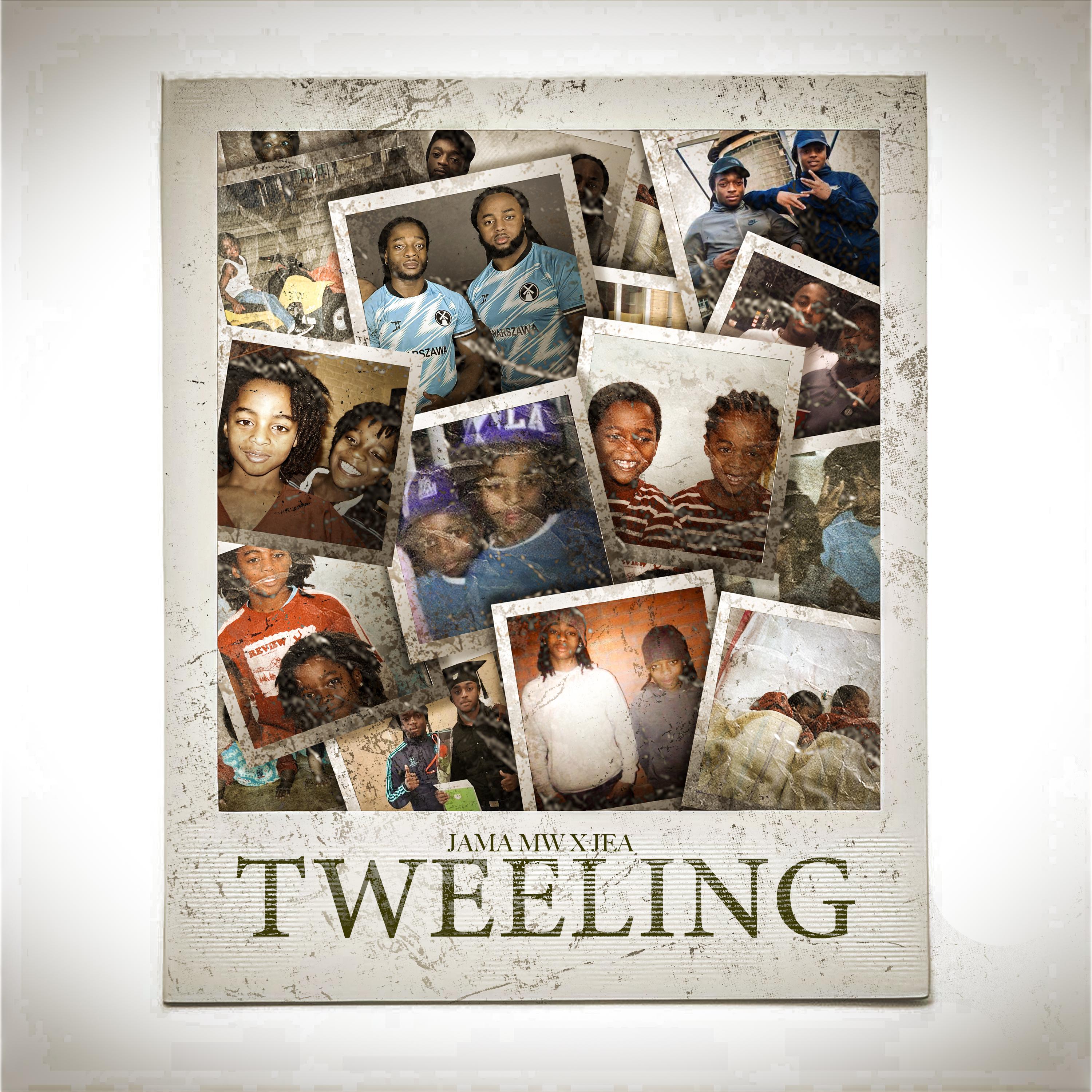 Постер альбома Tweeling