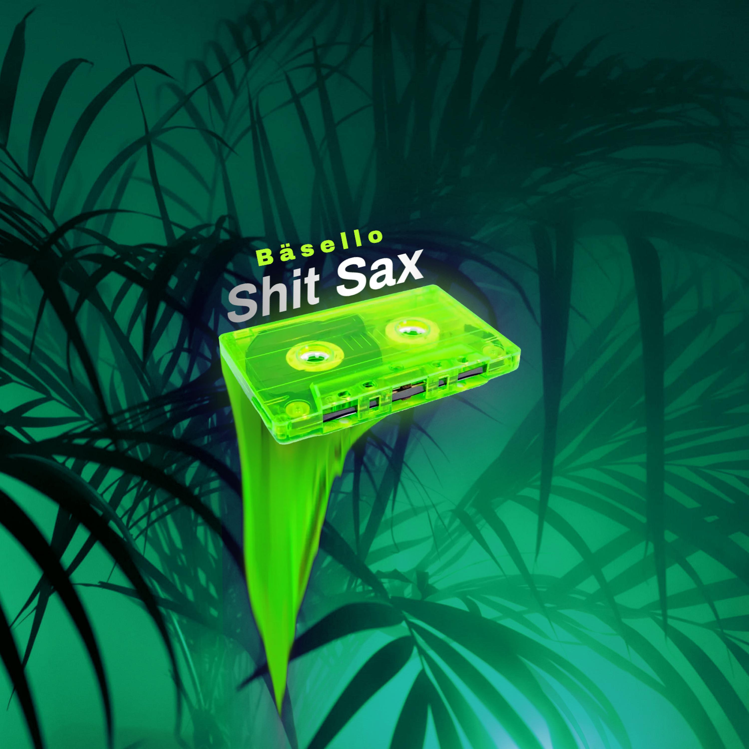Постер альбома Shit Sax