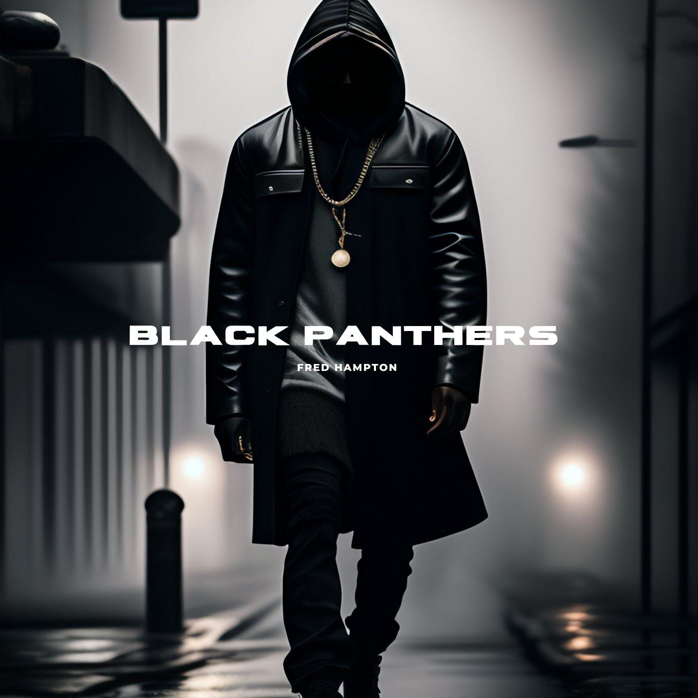 Постер альбома Black Panthers