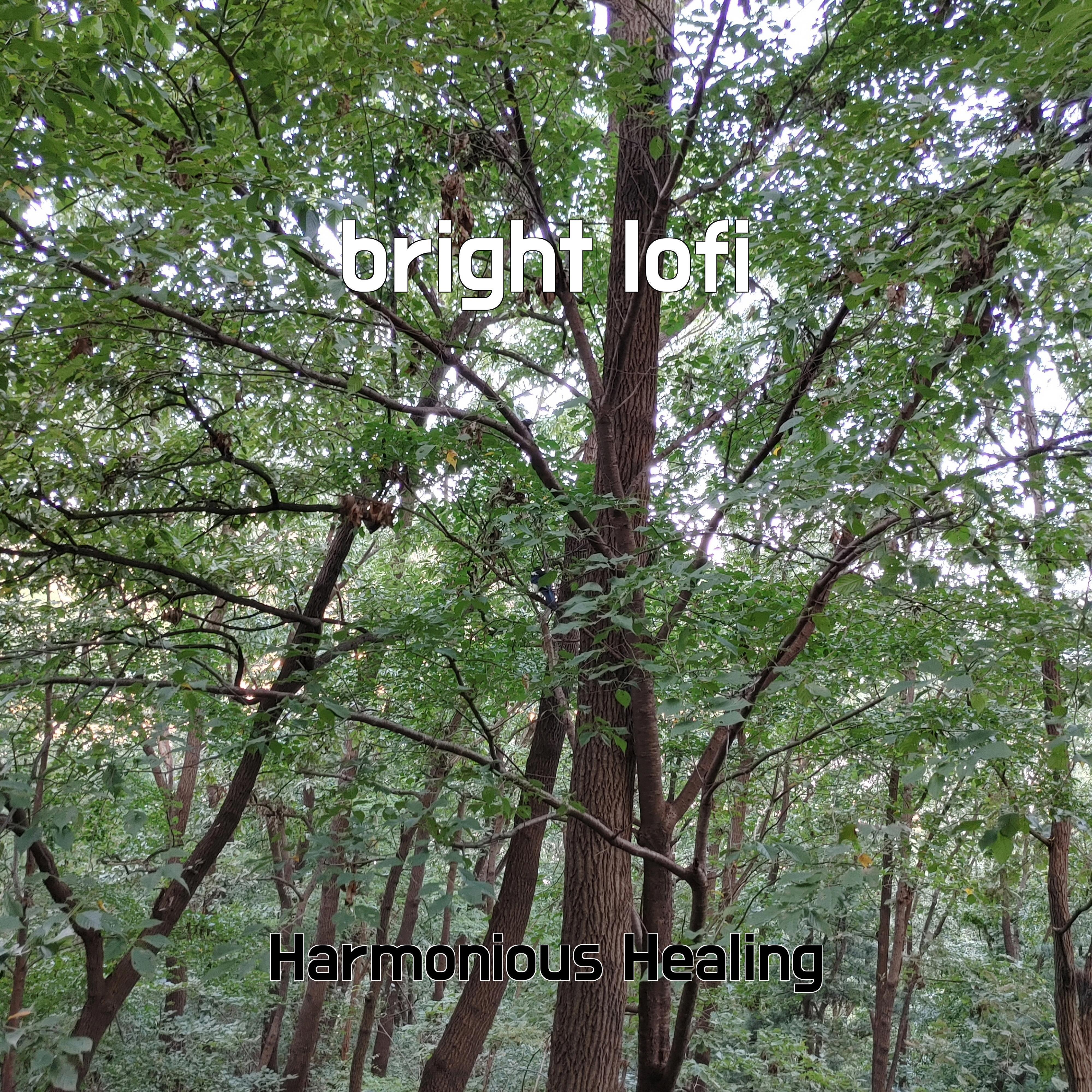 Постер альбома bright lofi