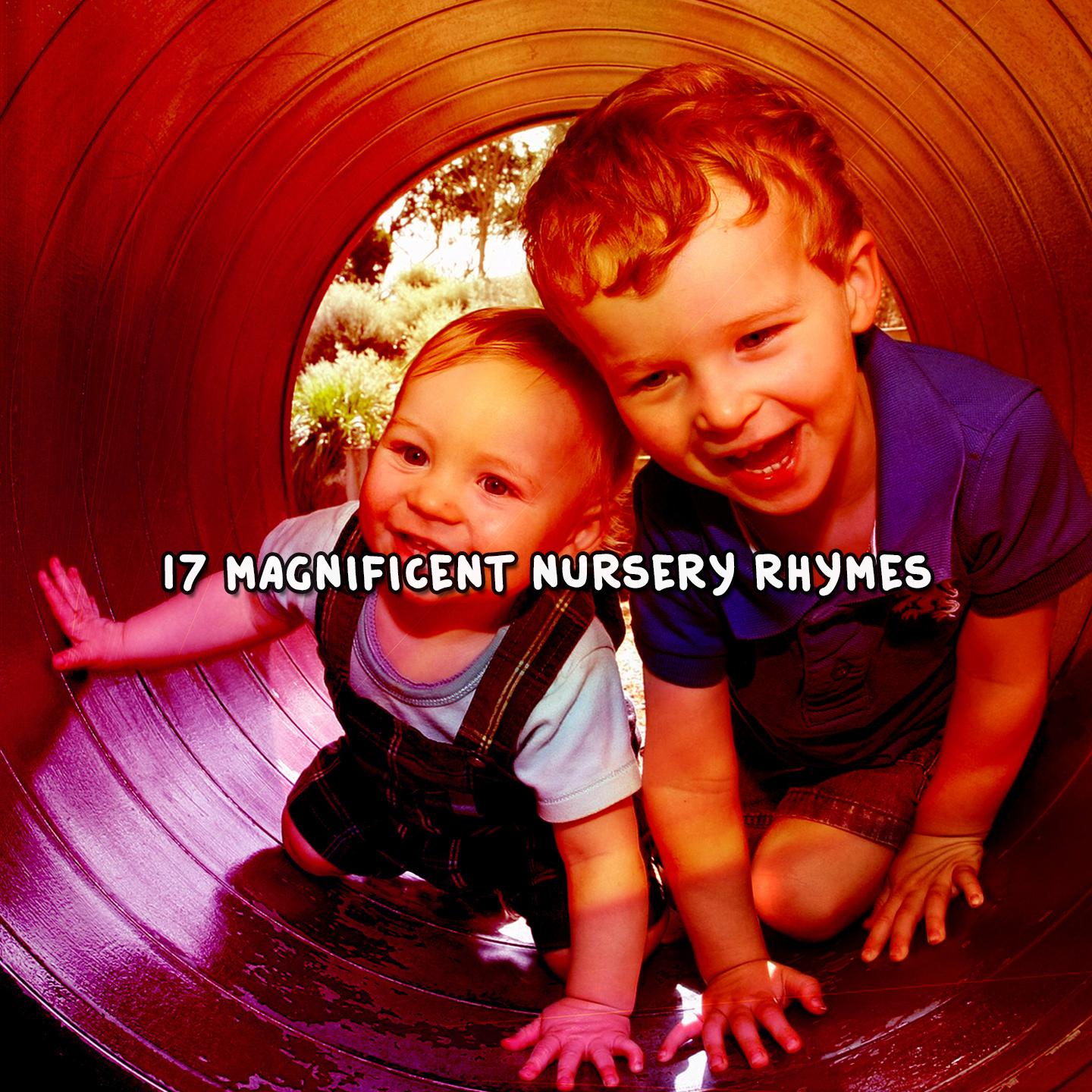Постер альбома 17 Magnificent Nursery Rhymes