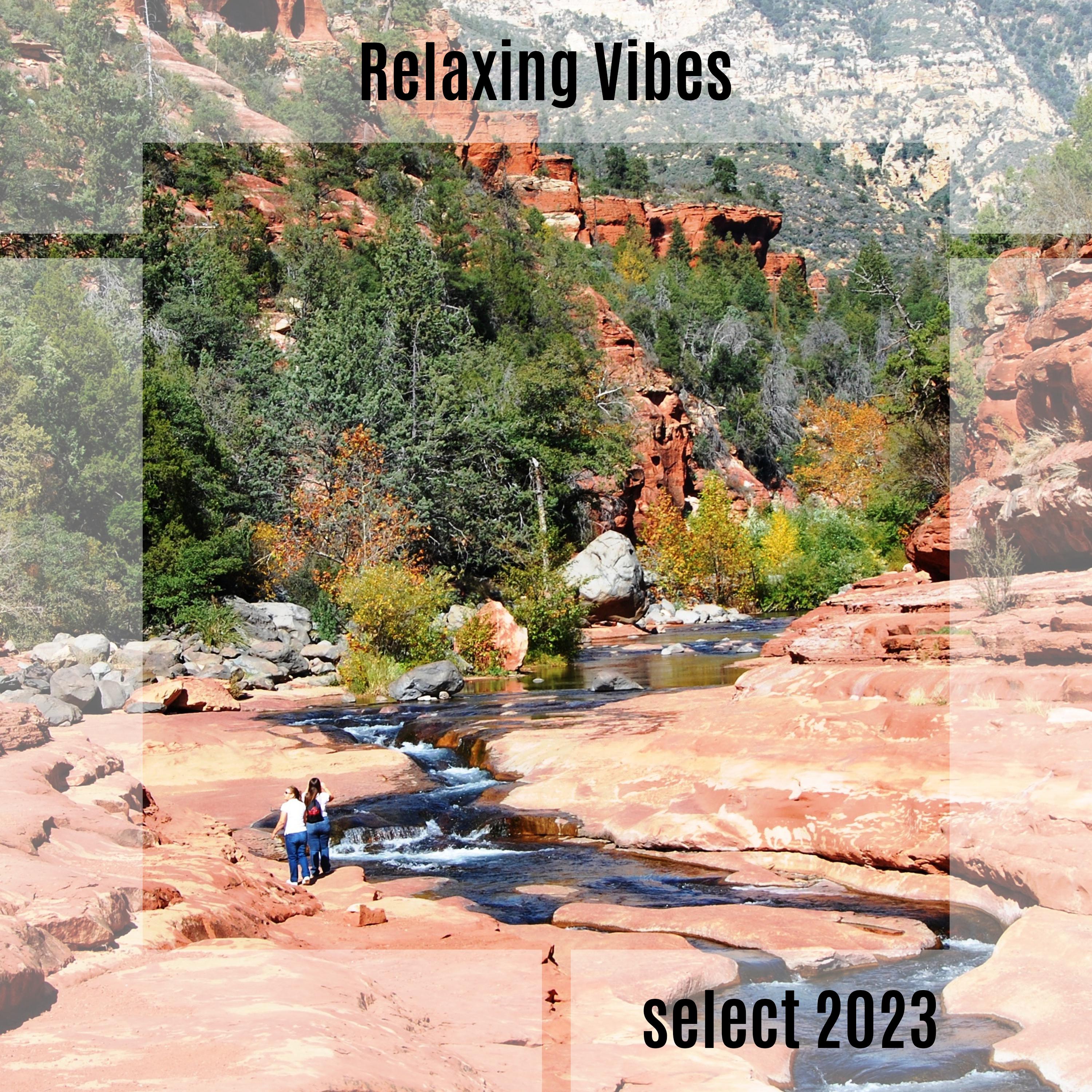 Постер альбома Relaxing Vibes Select 2023