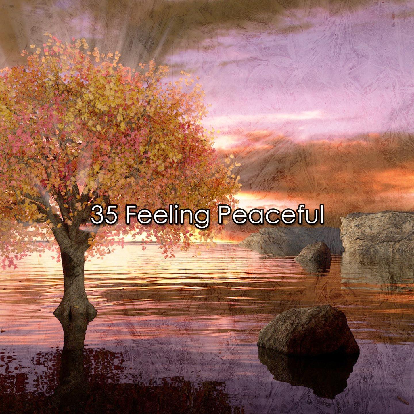 Постер альбома 35 Feeling Peaceful