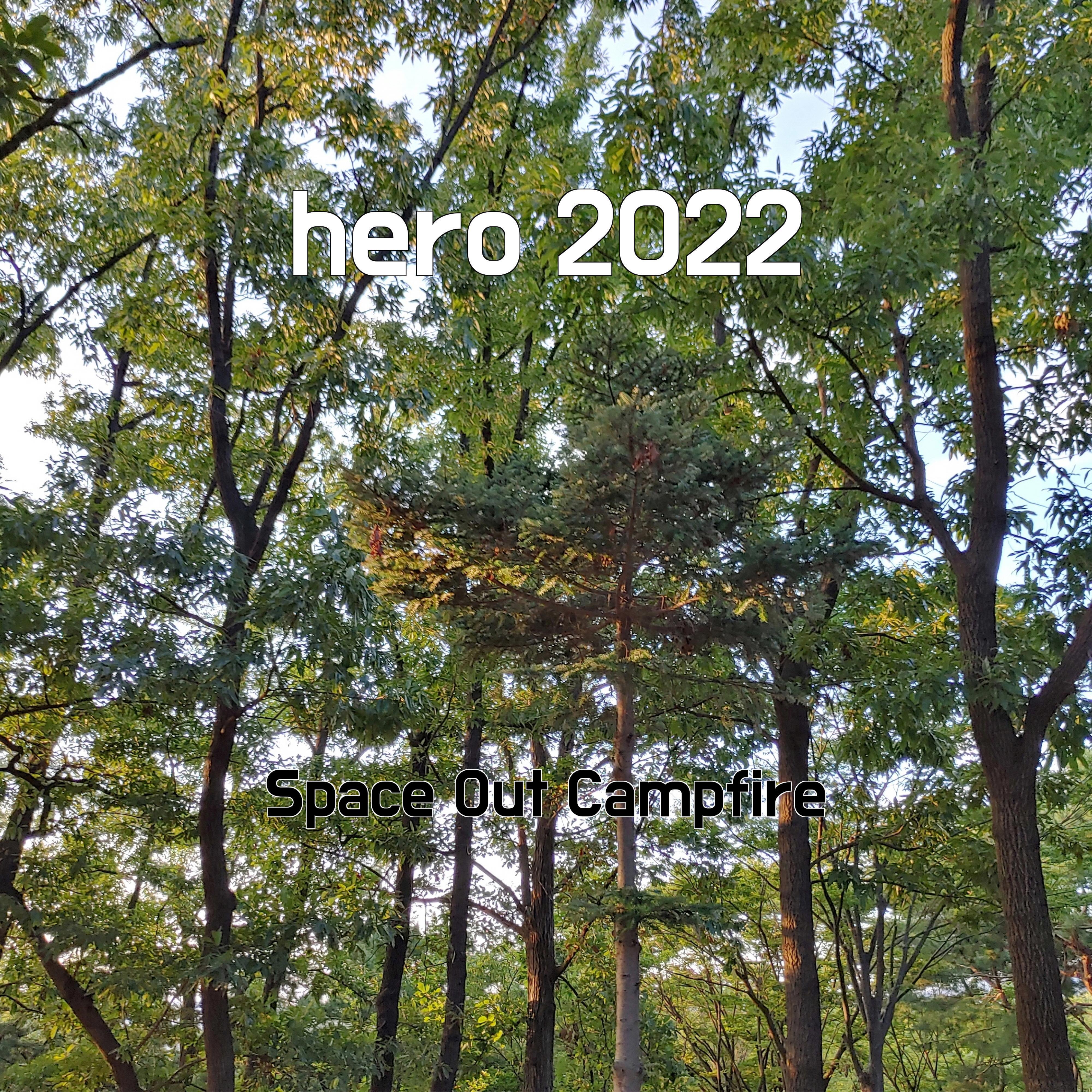 Постер альбома hero 2022