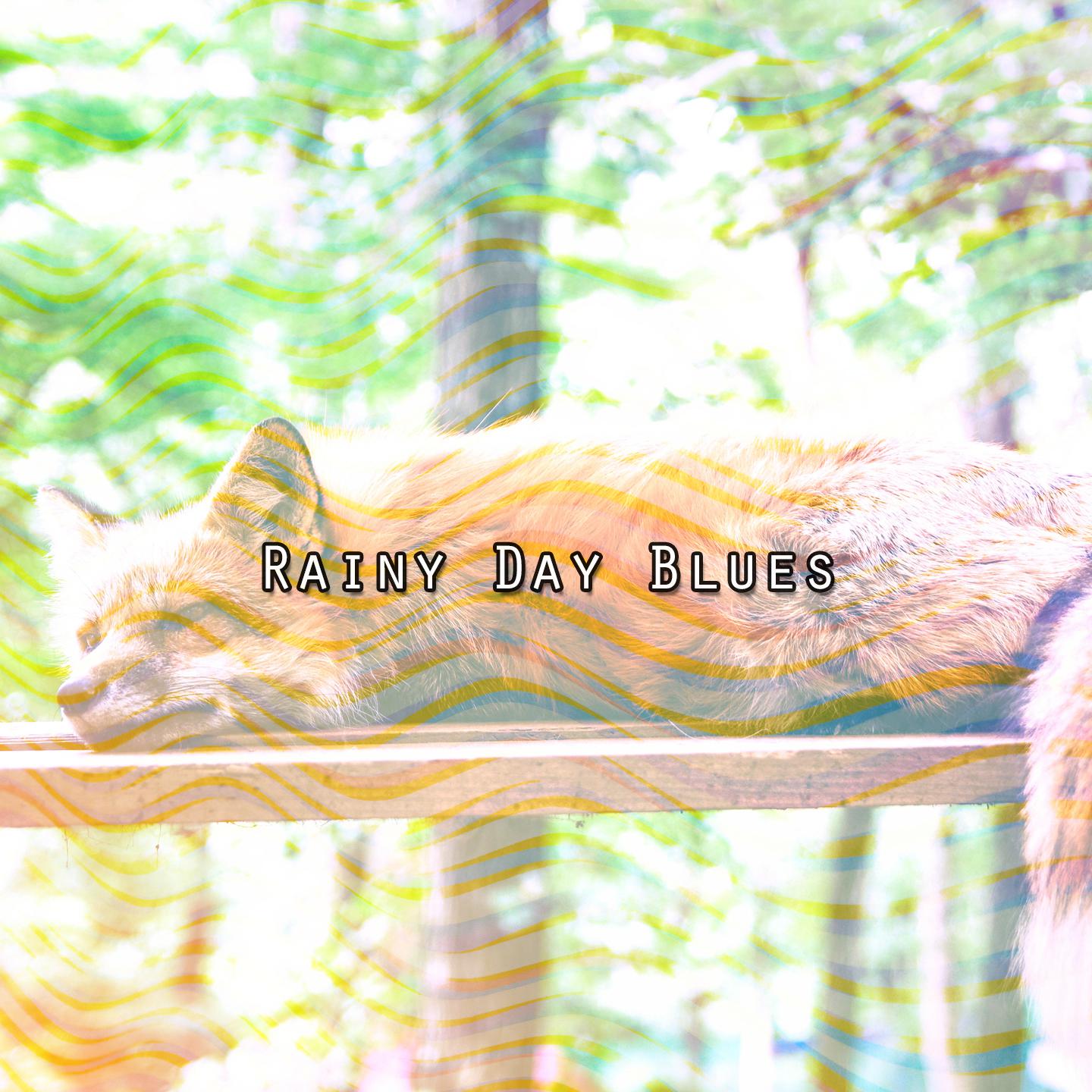 Постер альбома Rainy Day Blues