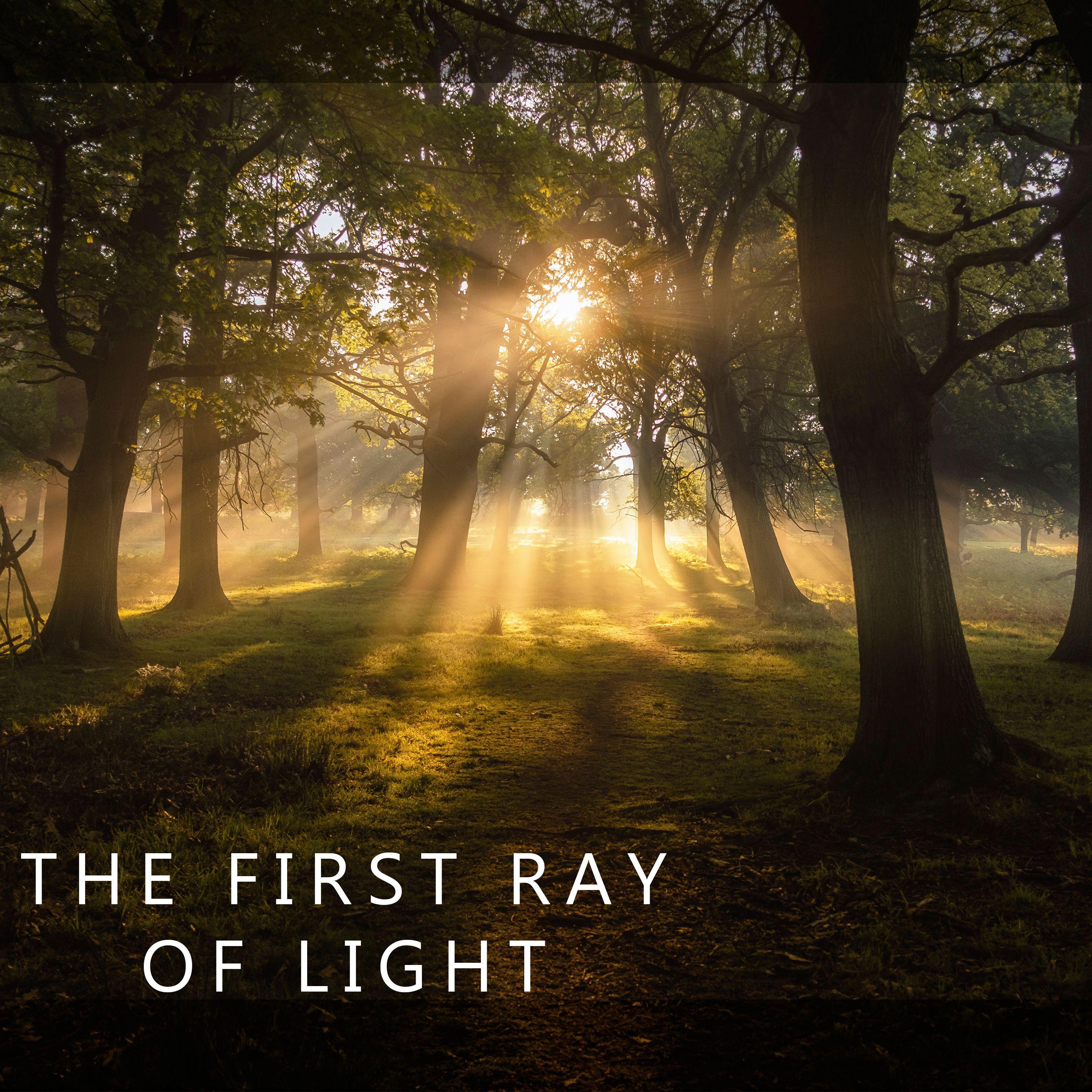 Постер альбома THE FIRST RAY OF LIGHT