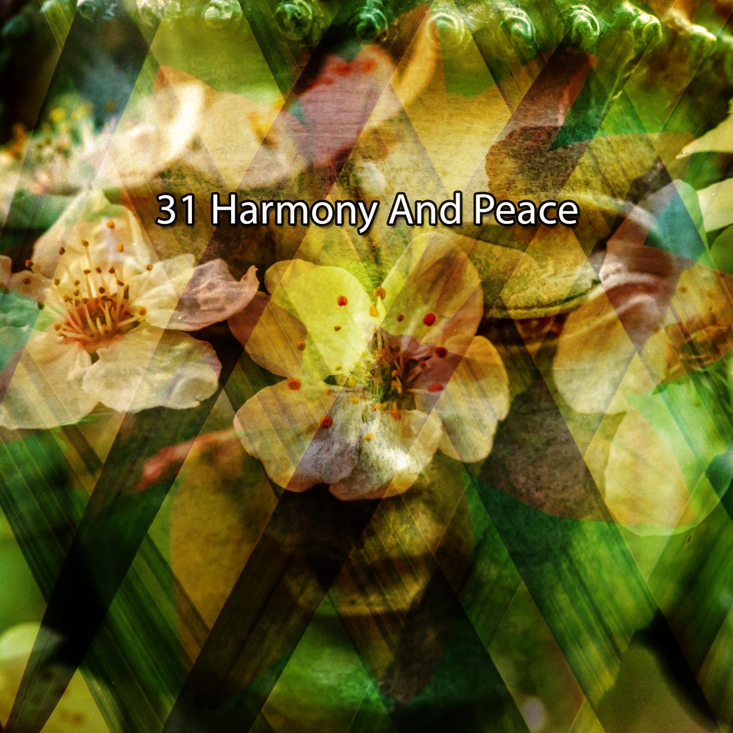 Постер альбома 31 Harmony And Peace