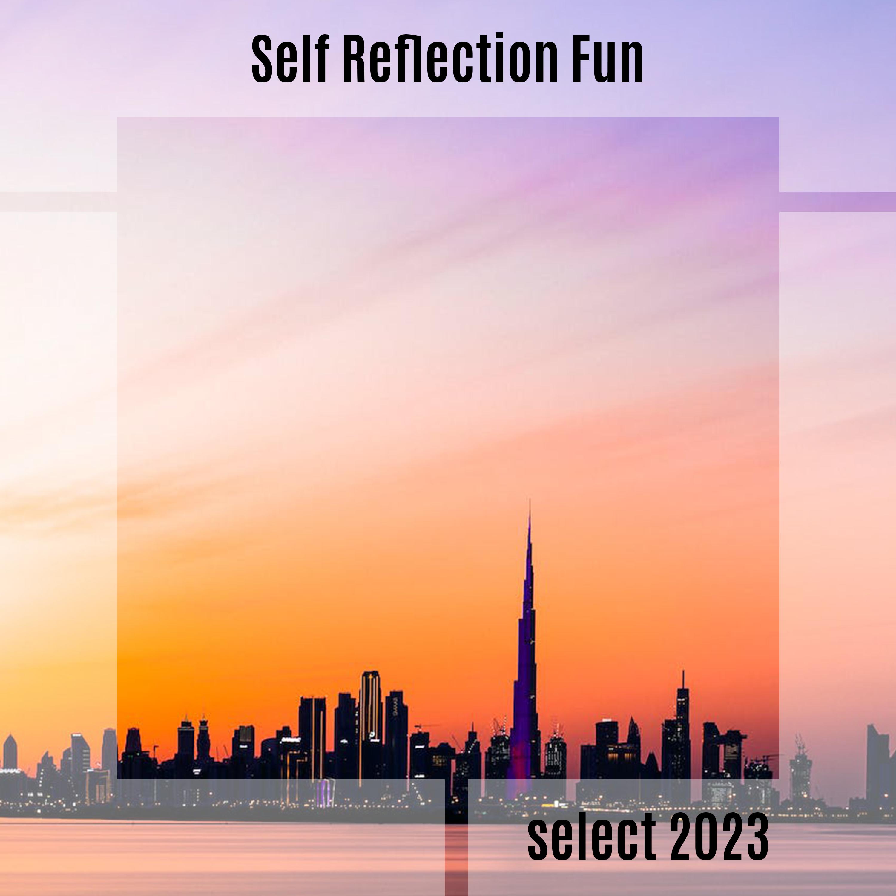 Постер альбома Self Reflection Fun Select 2023