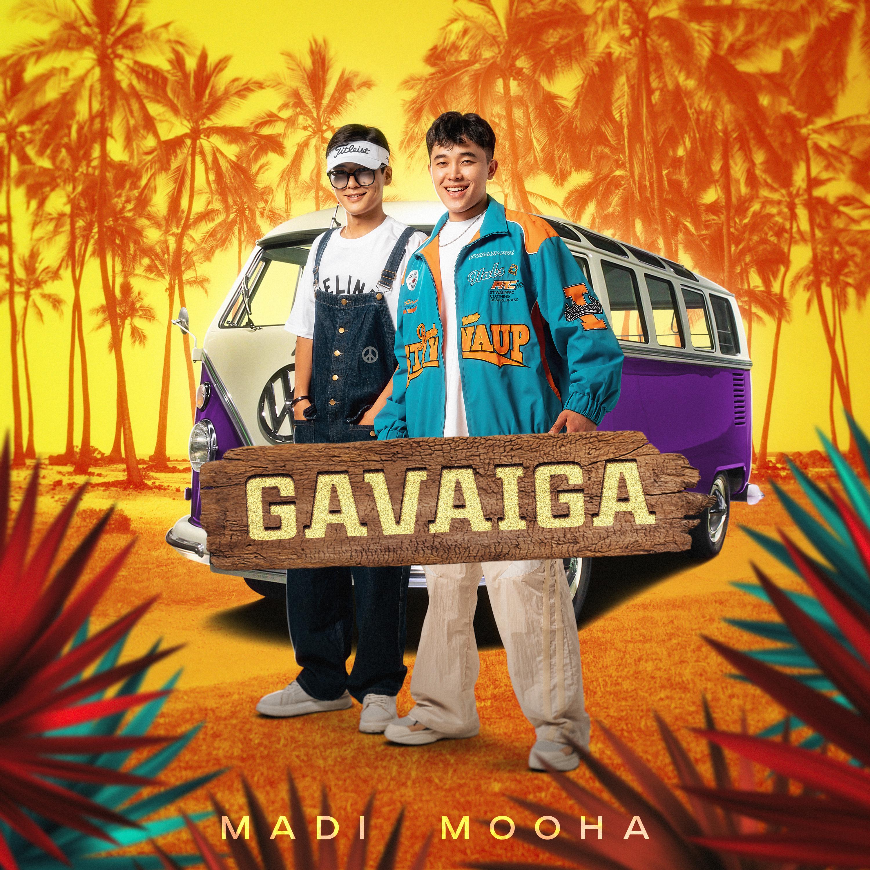 Постер альбома Gavaiga