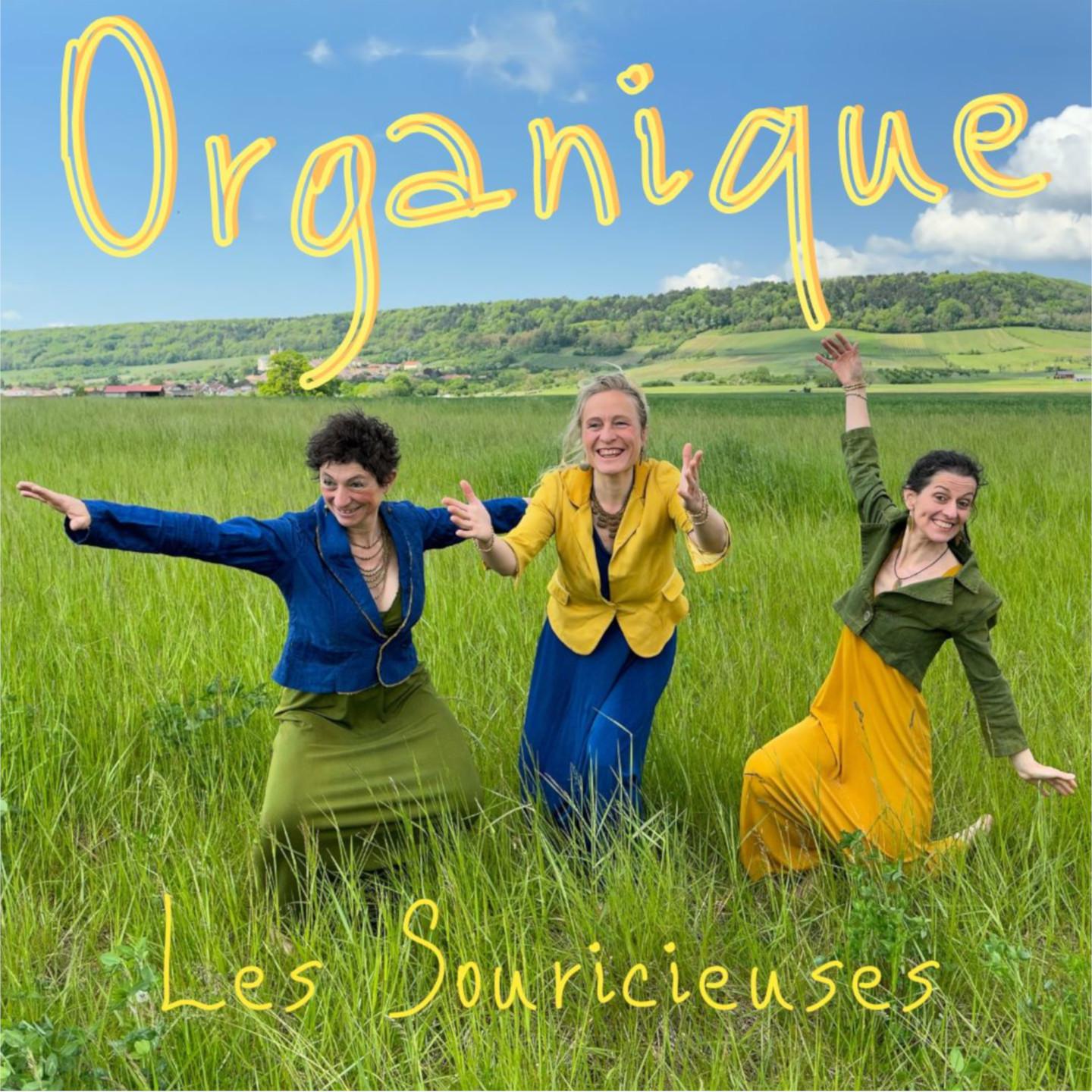 Постер альбома Organique