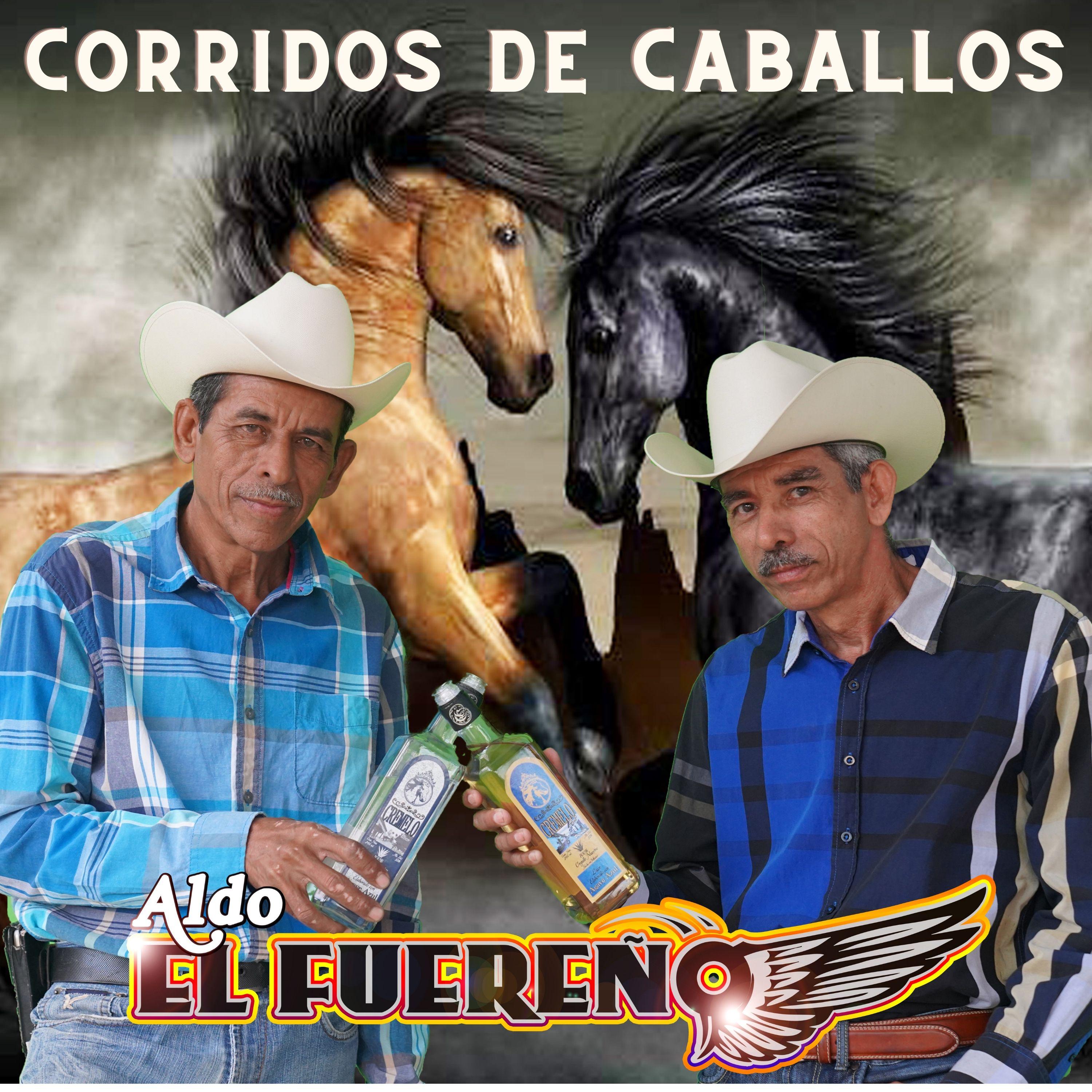 Постер альбома Corridos De Caballos