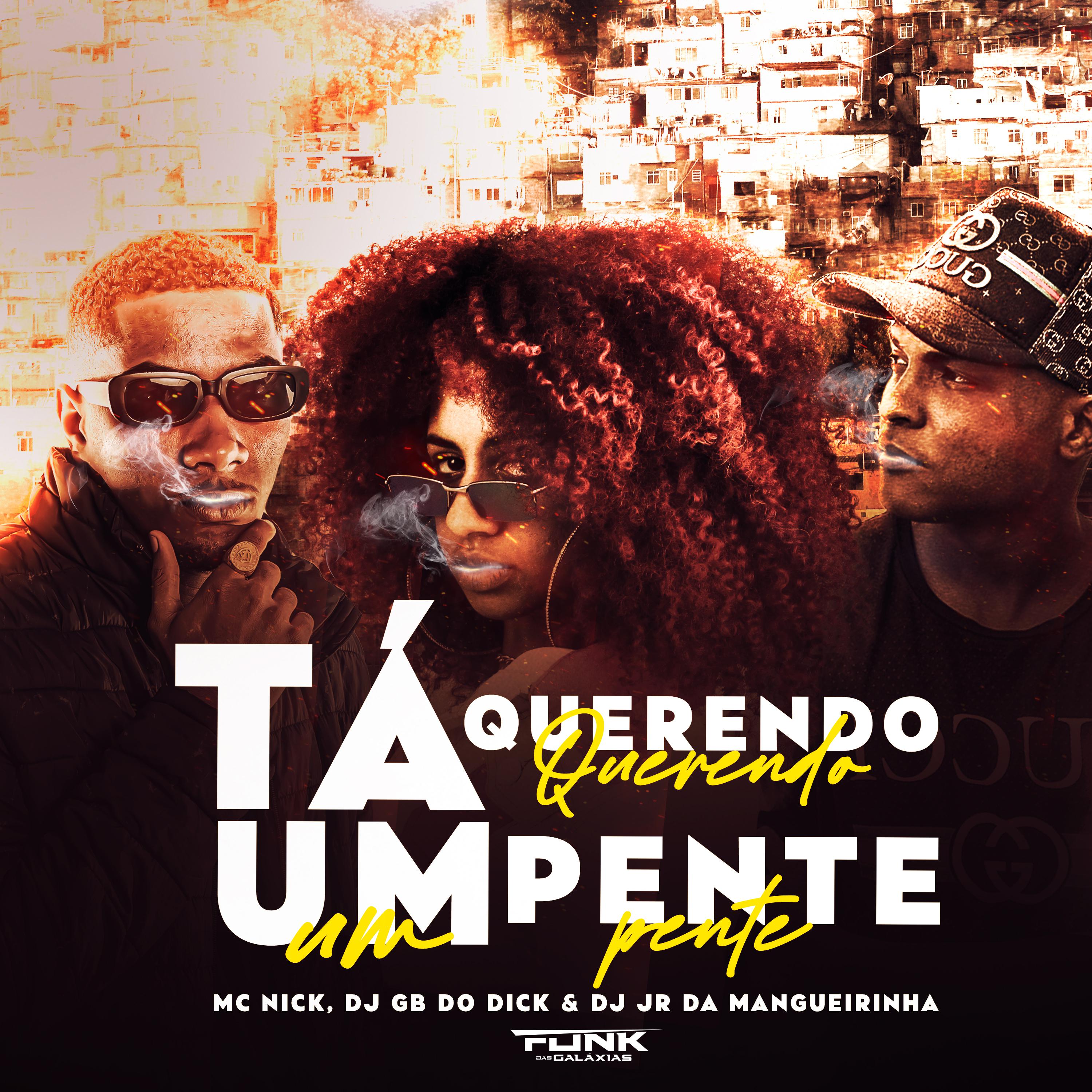 Постер альбома Ta Querendo um Pente