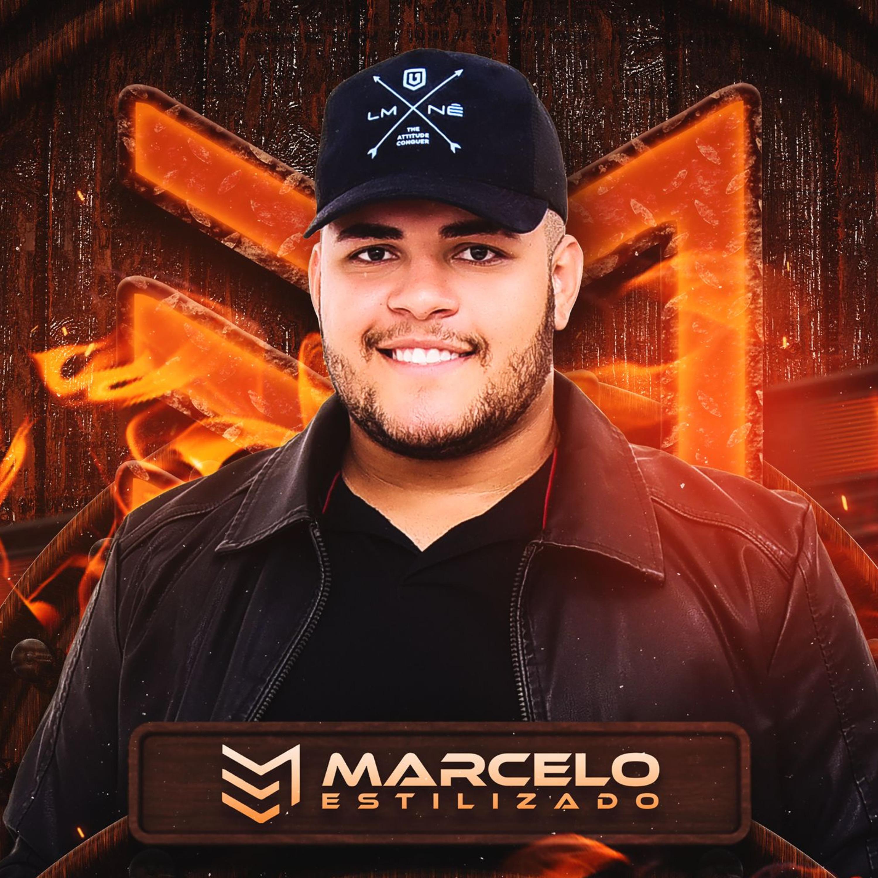 Постер альбома Marcelo Estilizado