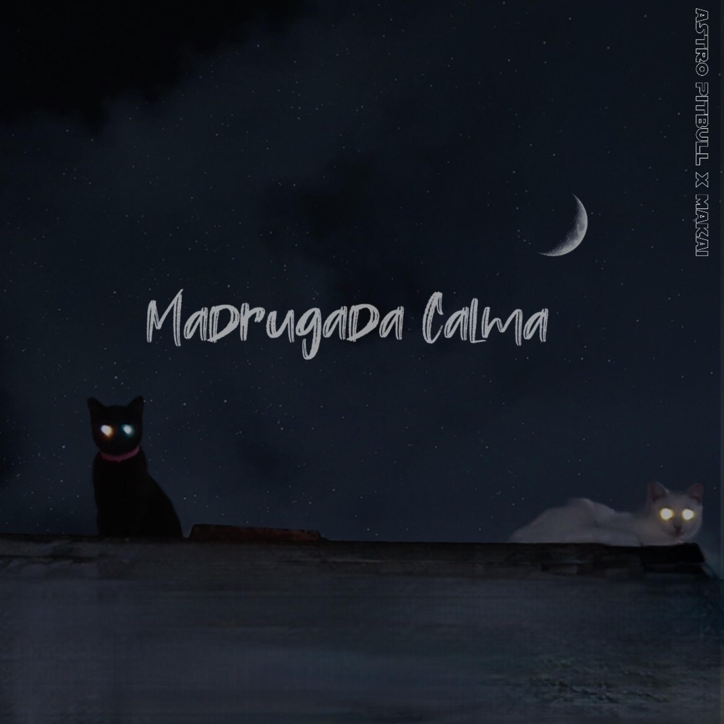 Постер альбома Madrugada Calma 2