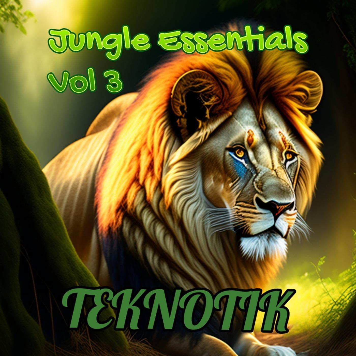 Постер альбома Jungle Essentials, Vol. 3
