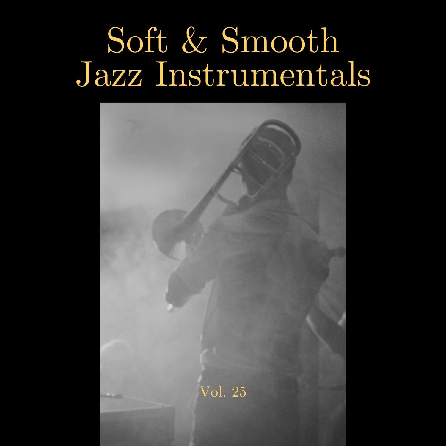 Постер альбома Soft & Smooth Jazz Instrumentals, Vol. 25