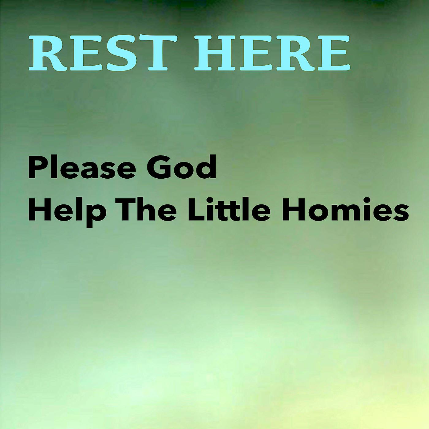 Постер альбома Please God Help the Little Homies
